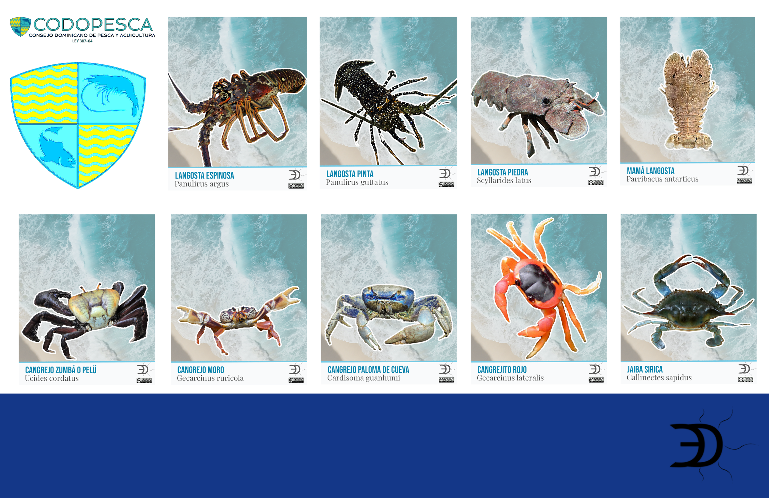 Veda de especies acuáticas en la República Dominicana desde marzo a julio 2026