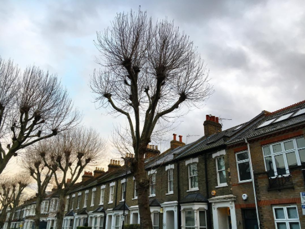 I'm vibing hard on West London right now, btw.