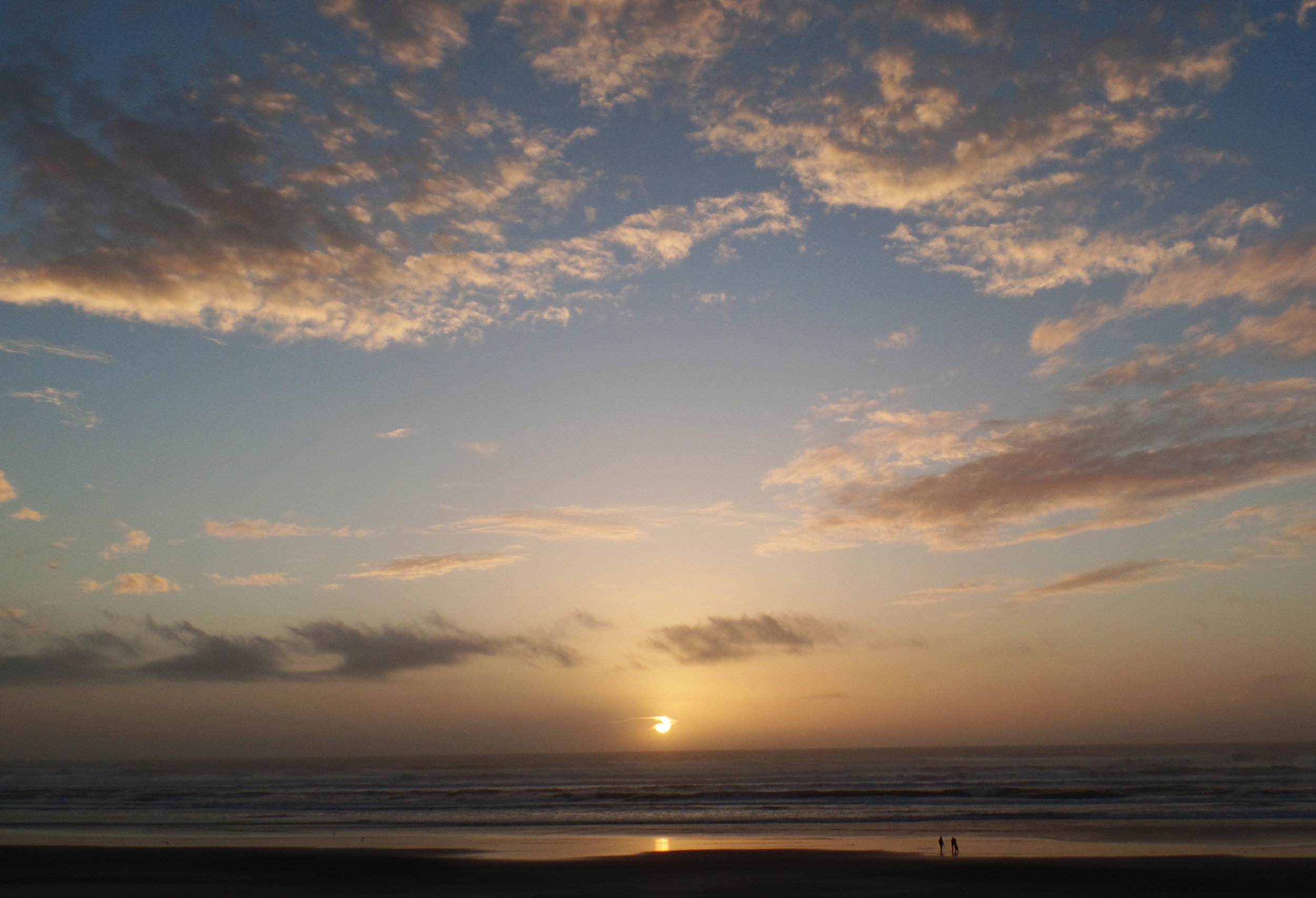 Photo credit: Aaron Tani