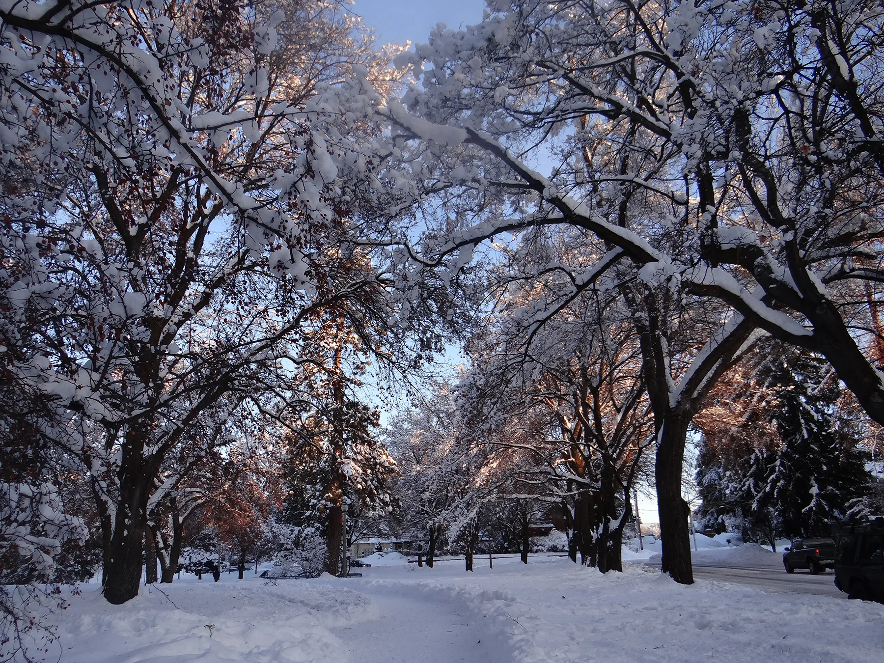 Photo credit: Denise Torres