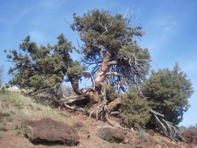 Photo credit: Barb Troyer