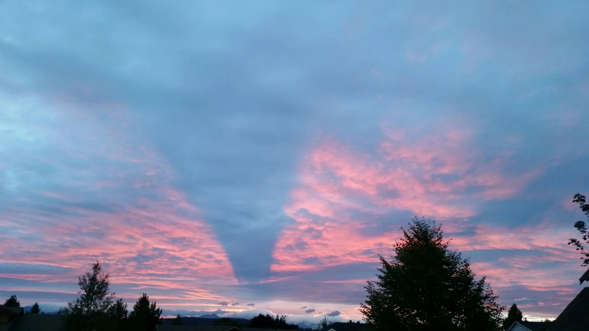 Photo credit: Barb Troyer