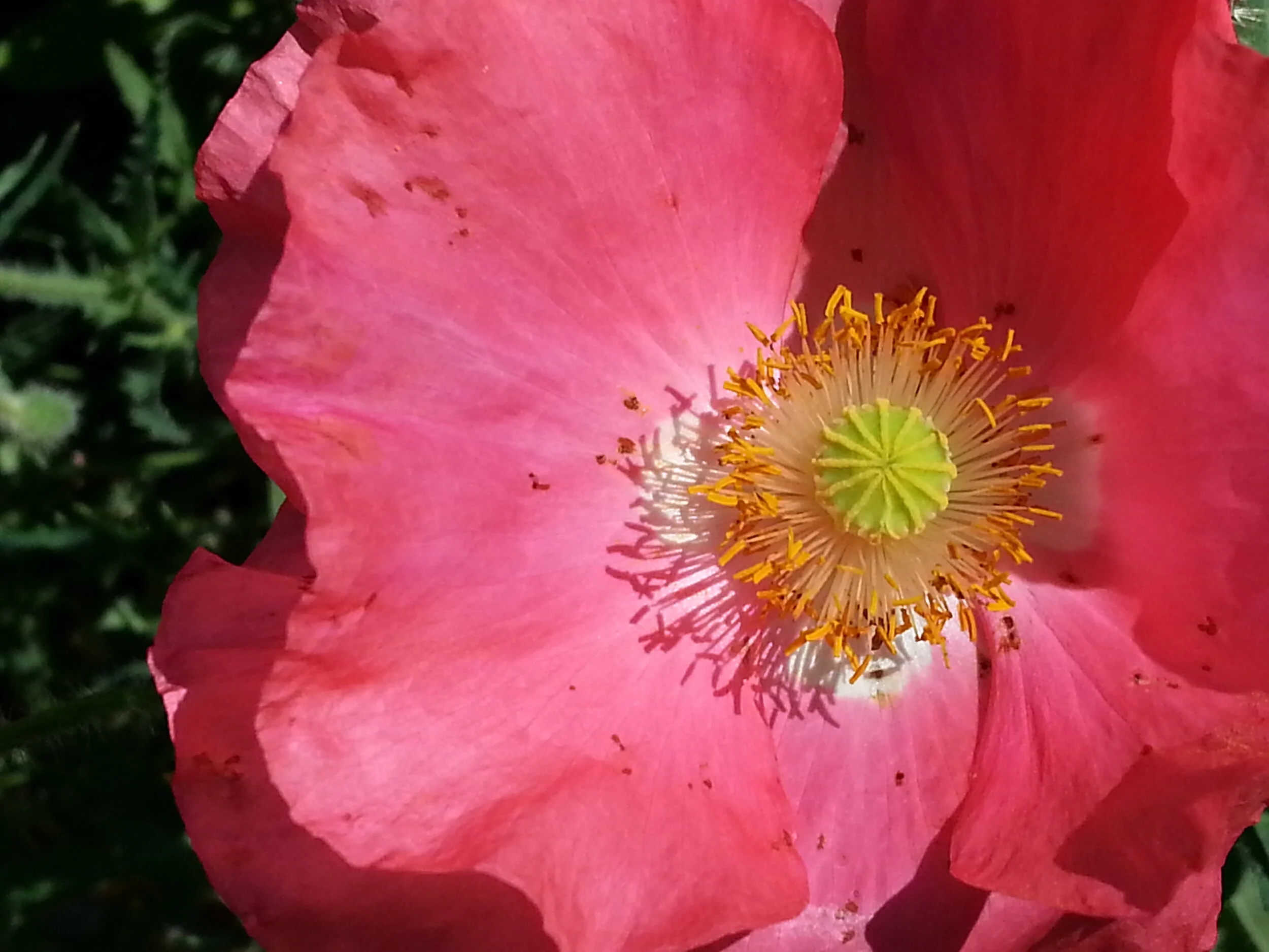 Getting the Most Out of the Rest of Our Lives!