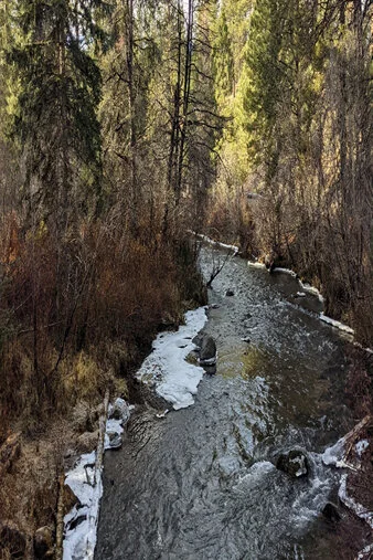 Postponed until Spring! - Little Touch of Heaven: A Spa Day for the Spirit at Shevlin Park