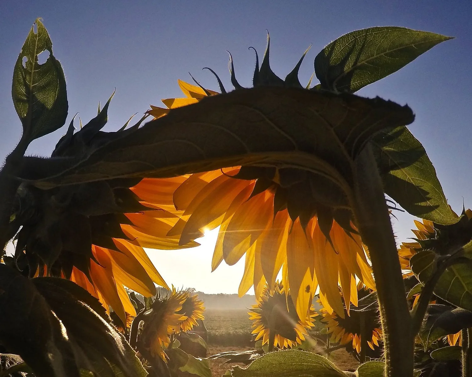 Photo by Laura Gilchrist on Unsplash