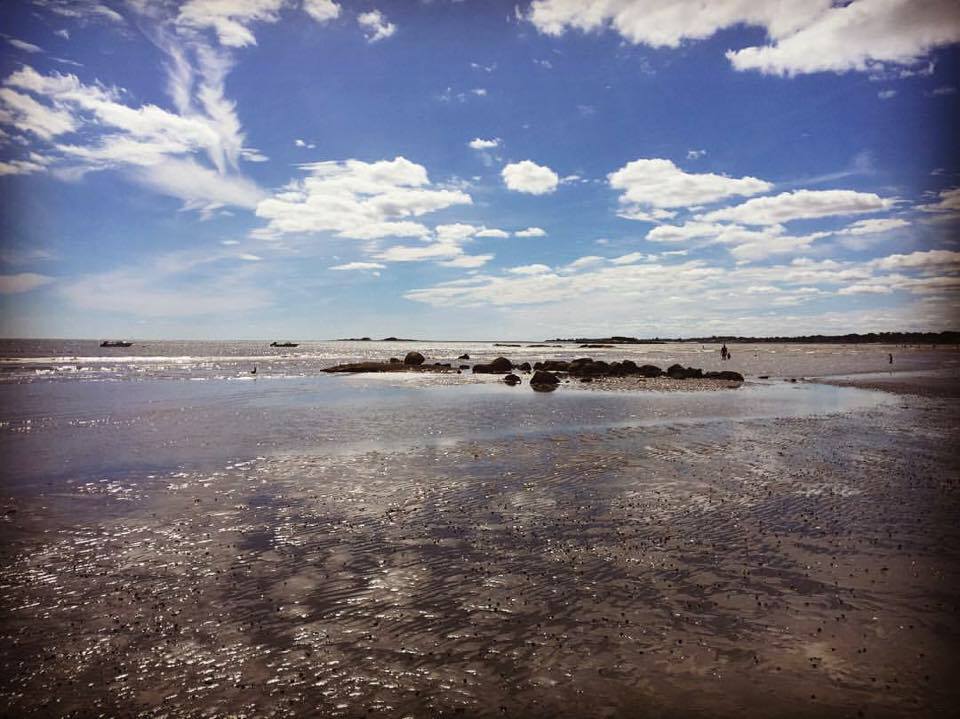 "It is advisable to look from the tide pool to the stars and then back to the tide pool again." —John Steinbeck