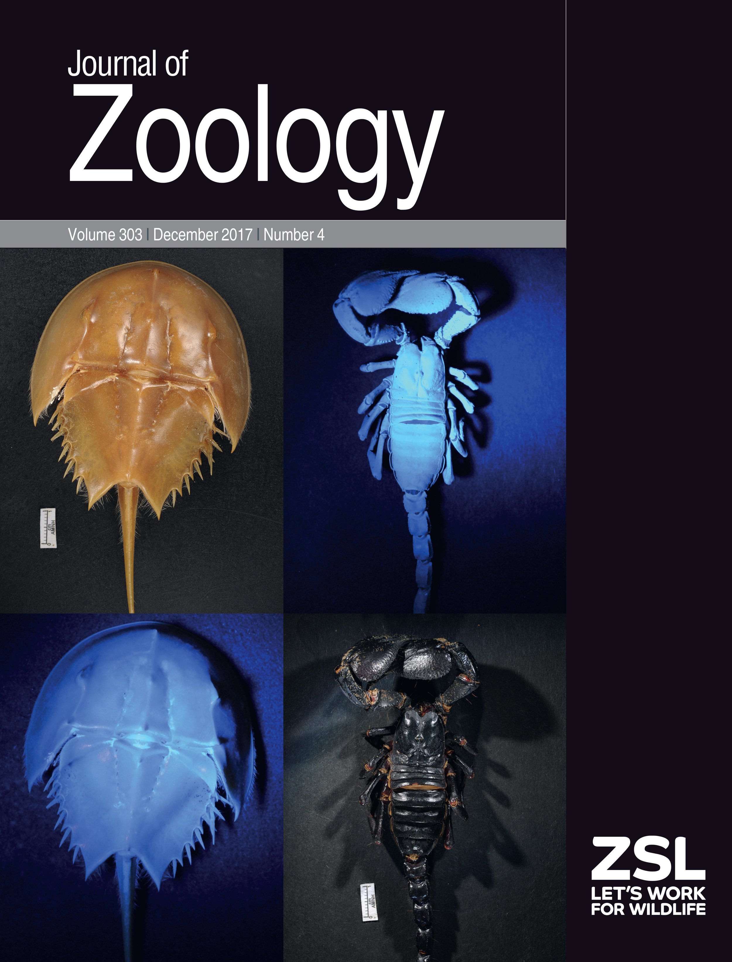  Arachnid cuticle fluorescence on the cover of  Journal of Zoology  