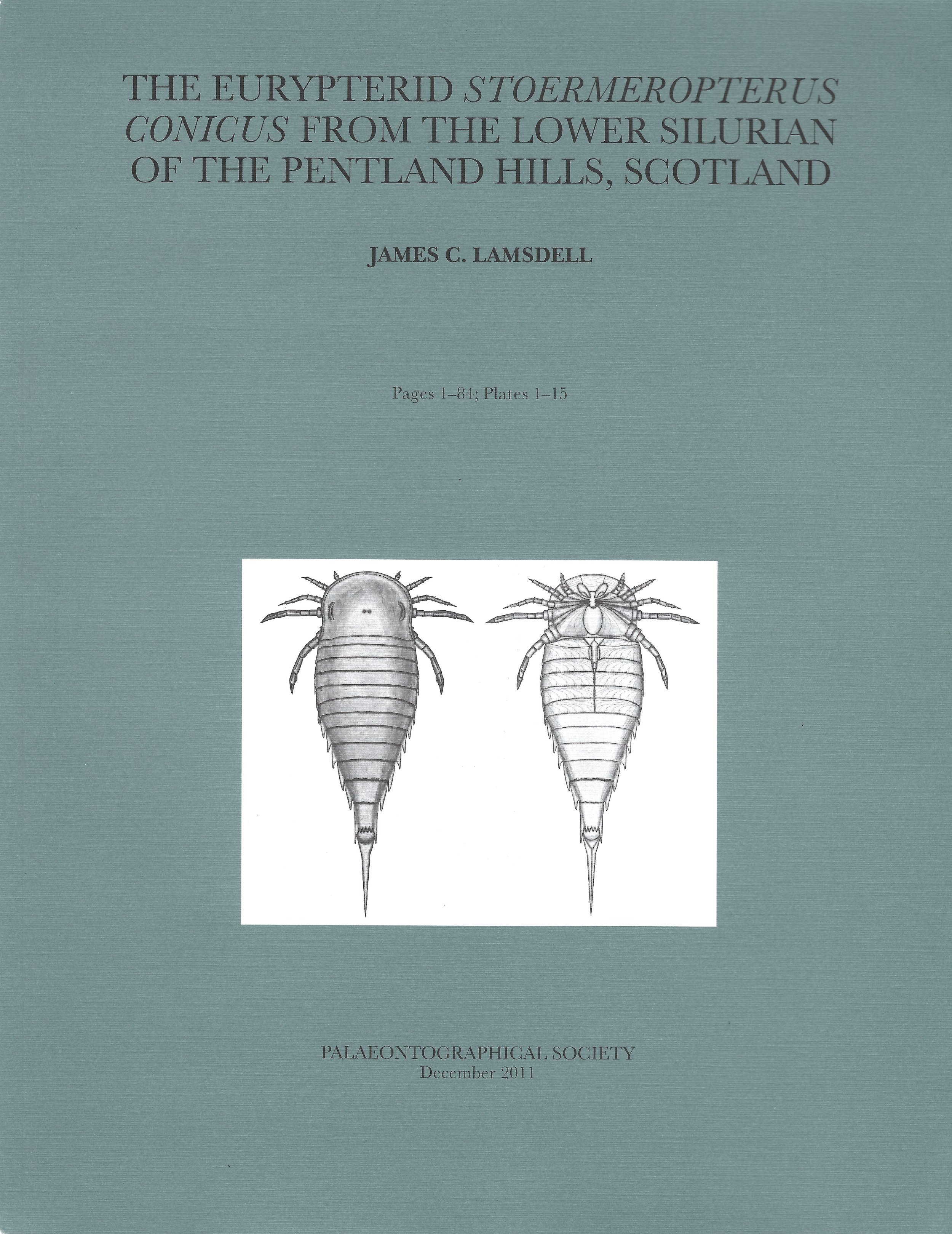  Cover of the Palaeontographical Society monograph on  Stoermeropterus  