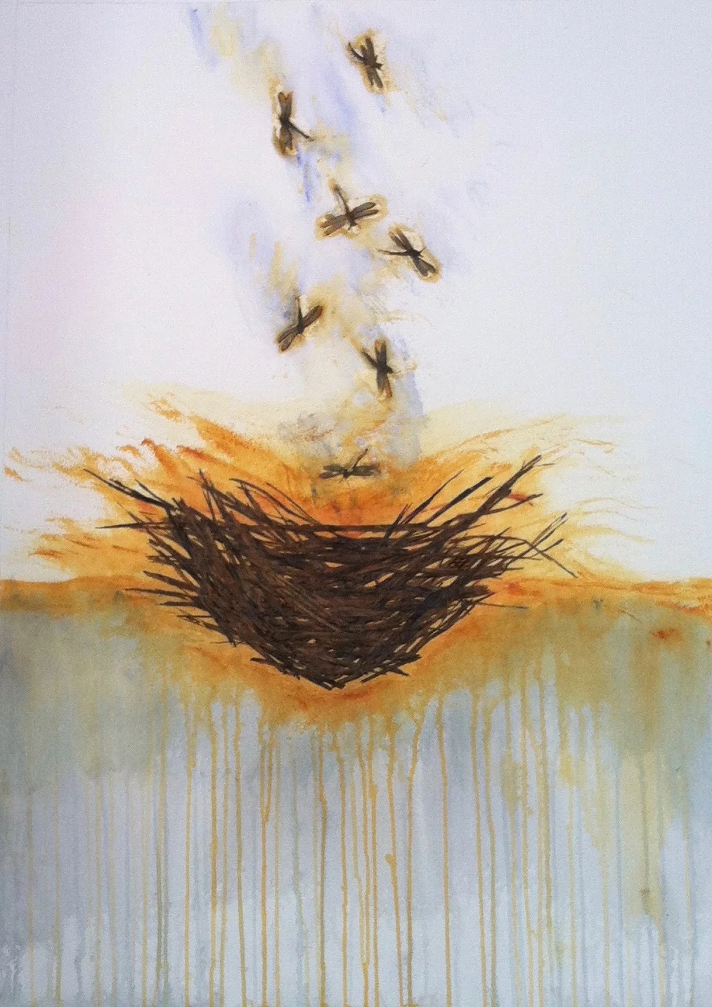 Dragonfly Nest