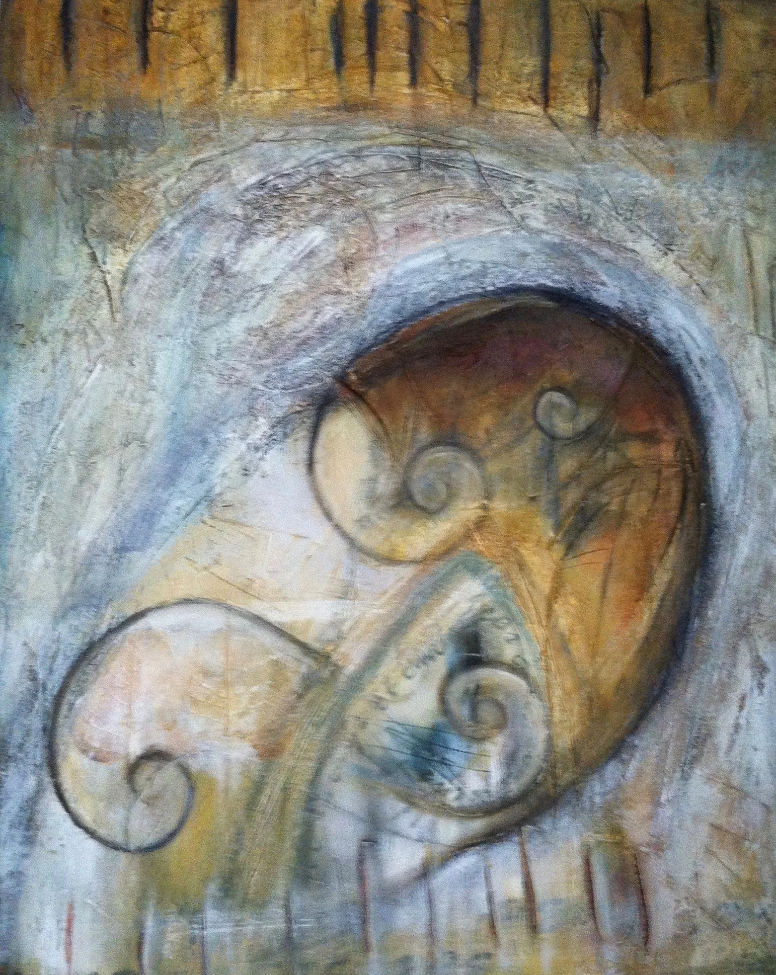Nautilus