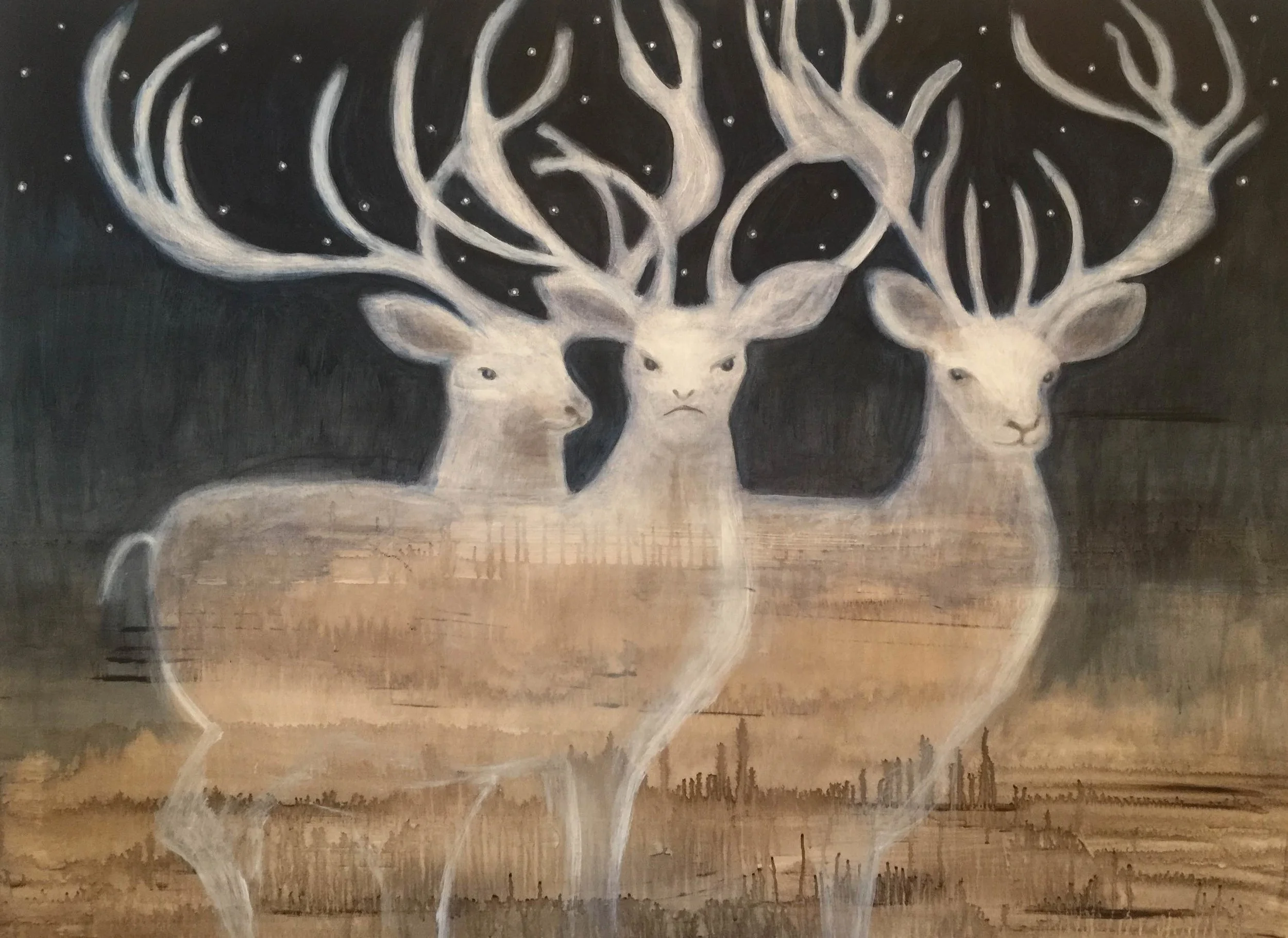 Ghosts of the Forest