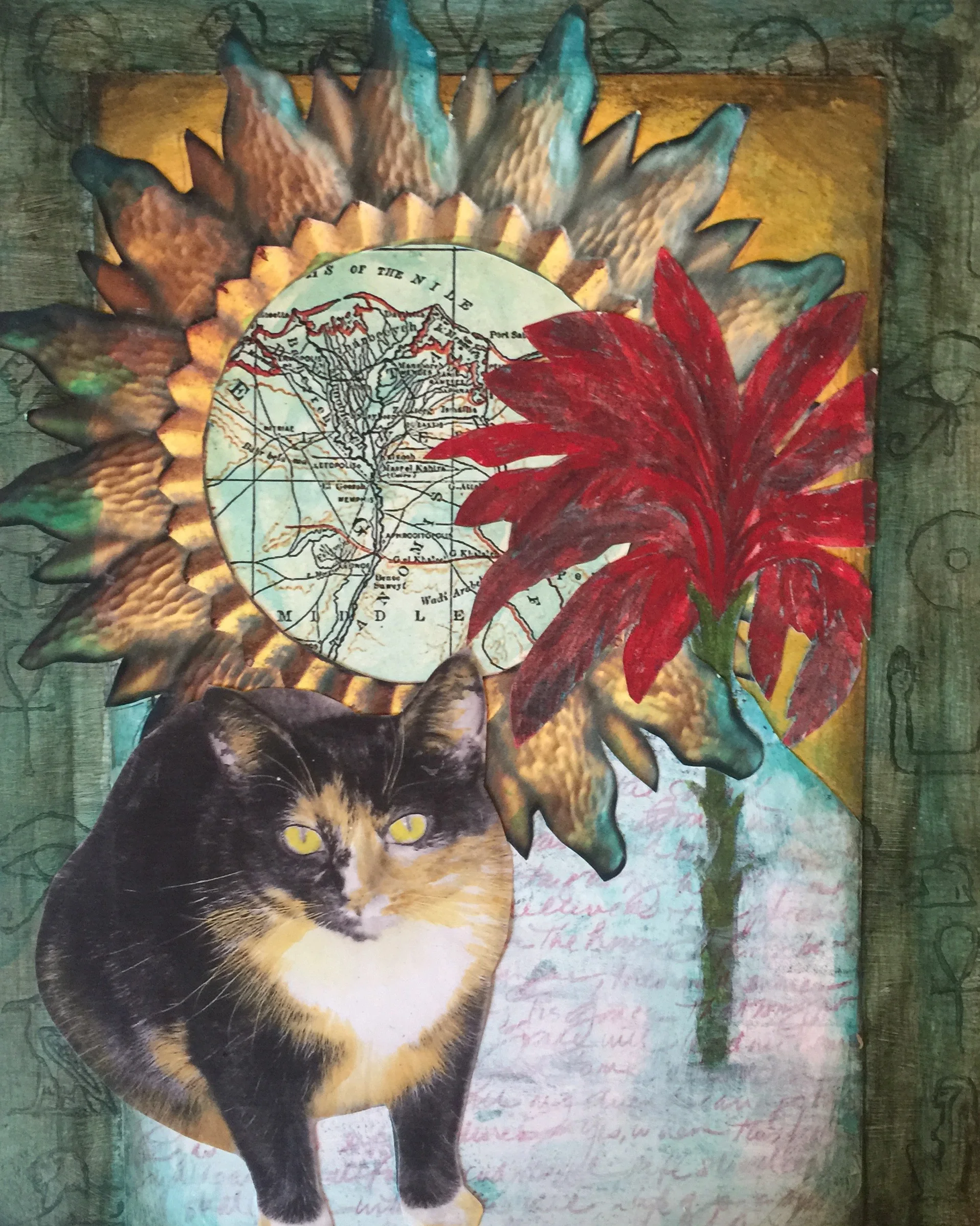 Gracie the Cat