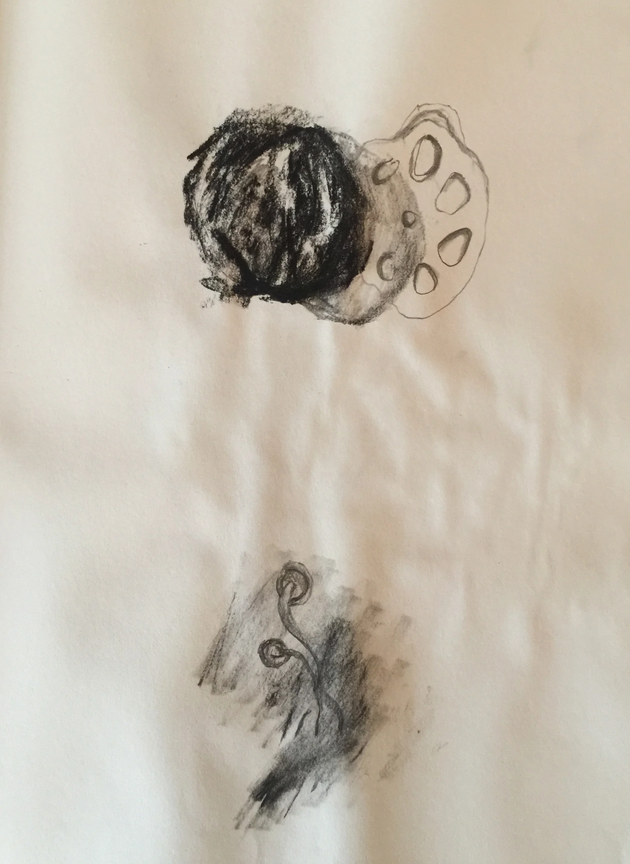 Journal Page 14