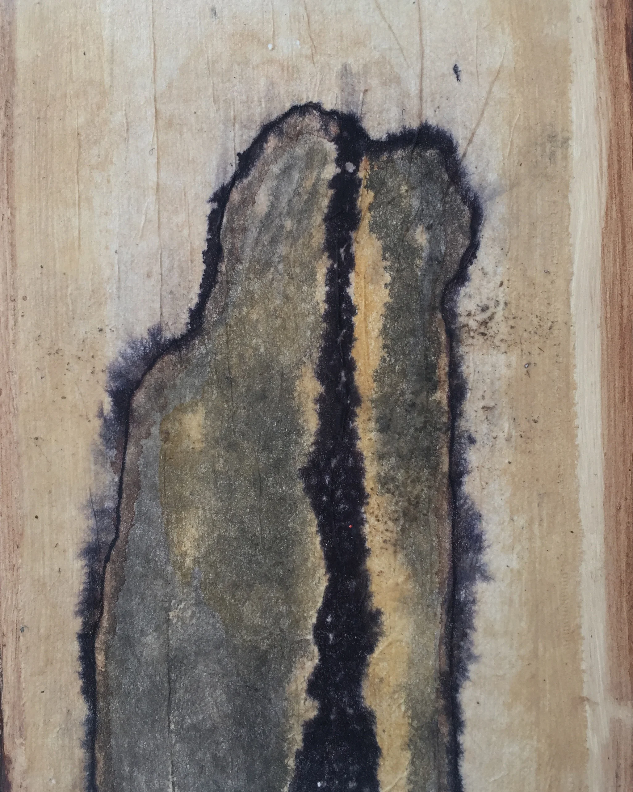 Teabag Art #19 on mat board