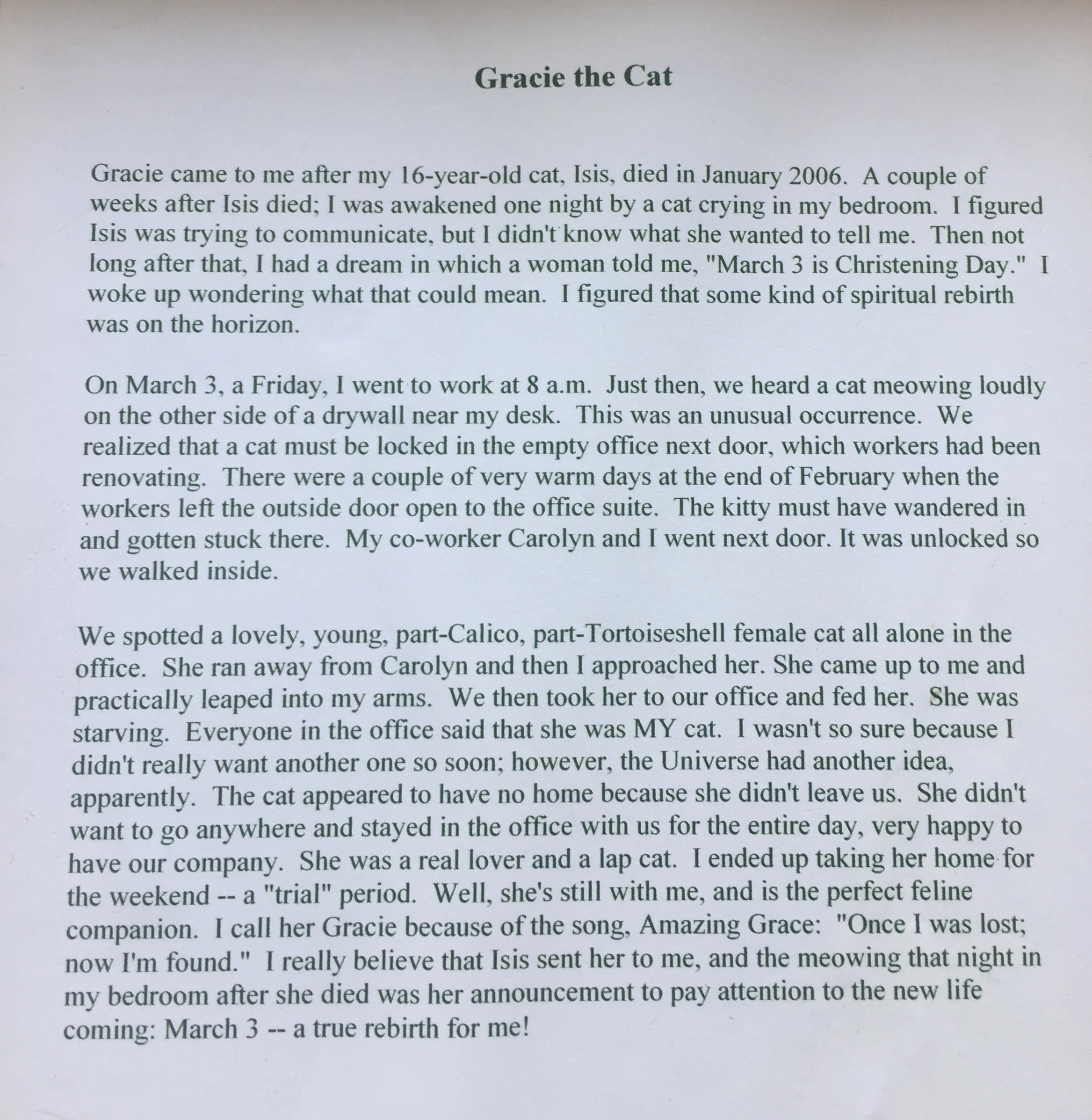 Gracie The Cat, A Story