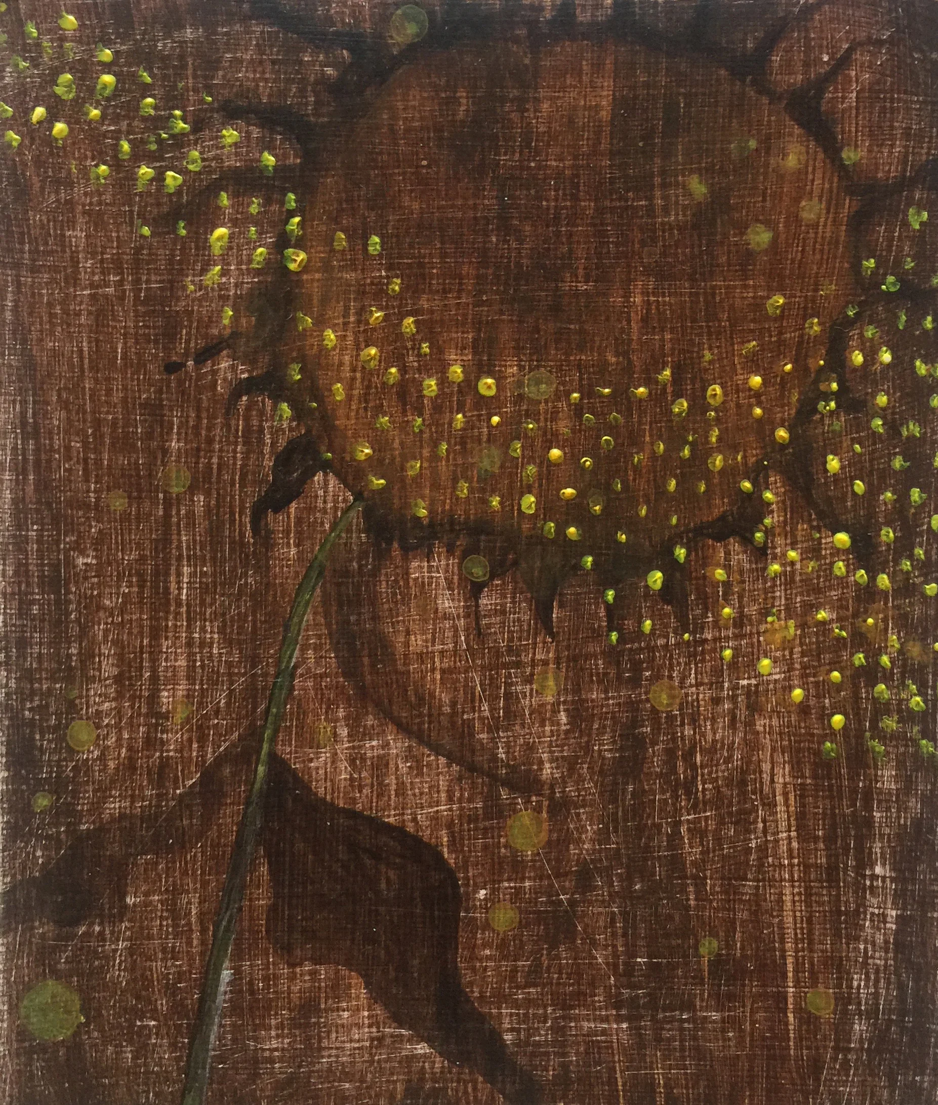 Mat Board Series #12
