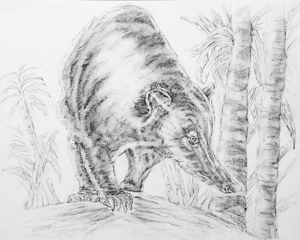 2012drawing13.jpg