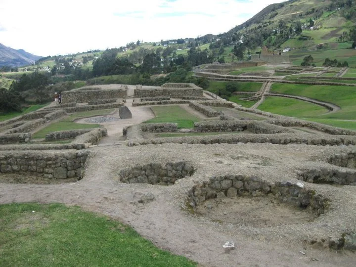 26_Chile_Guanaco.jpg