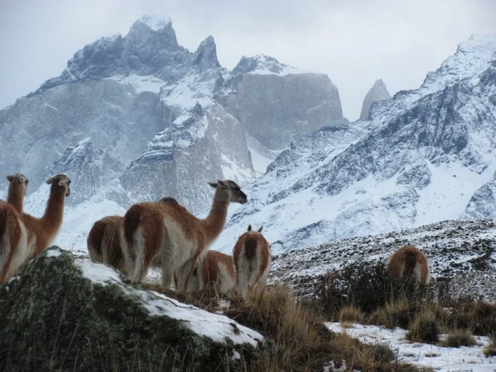 Chile 2011