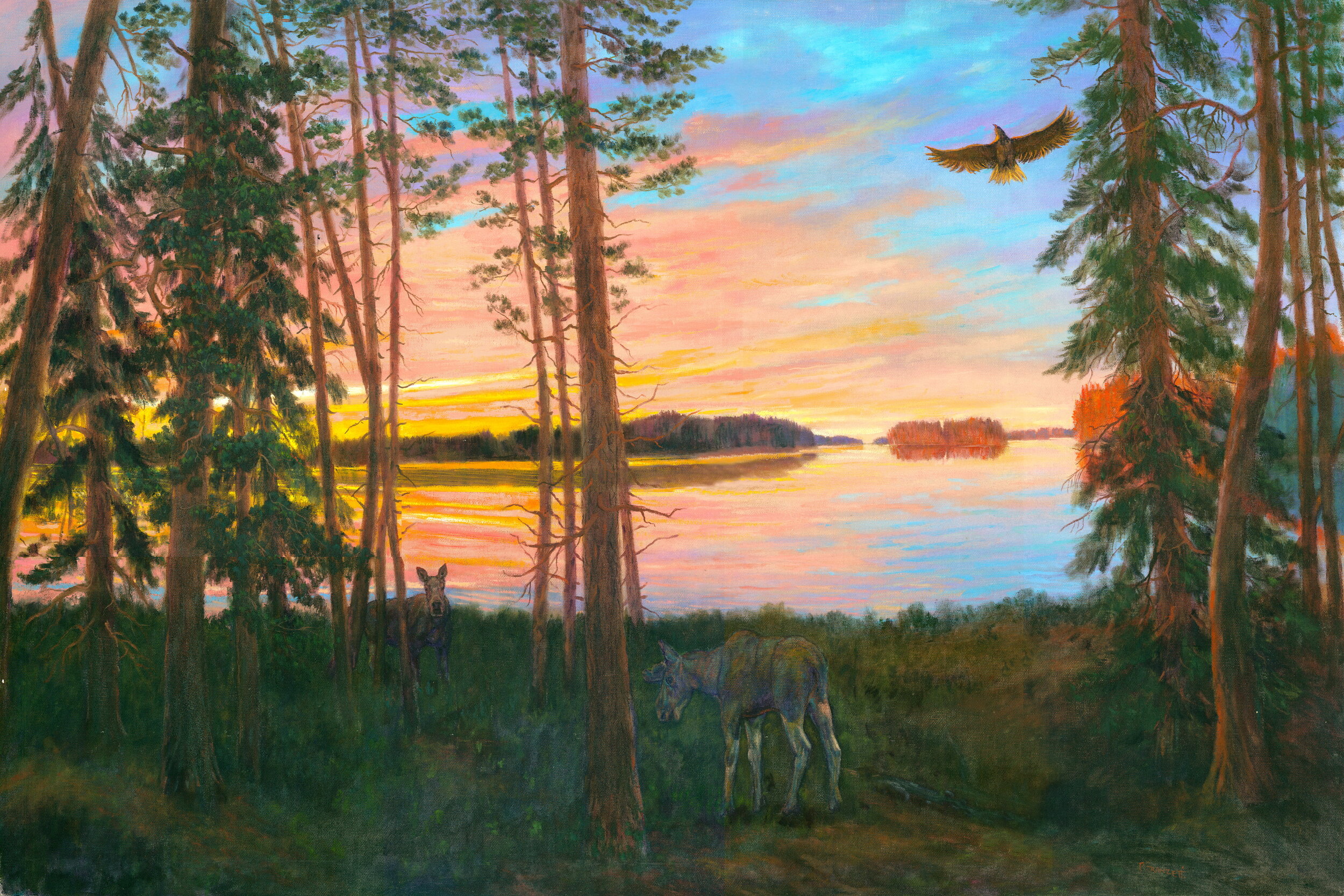 Kuhmo Sunset with Eagle (reduced).jpg