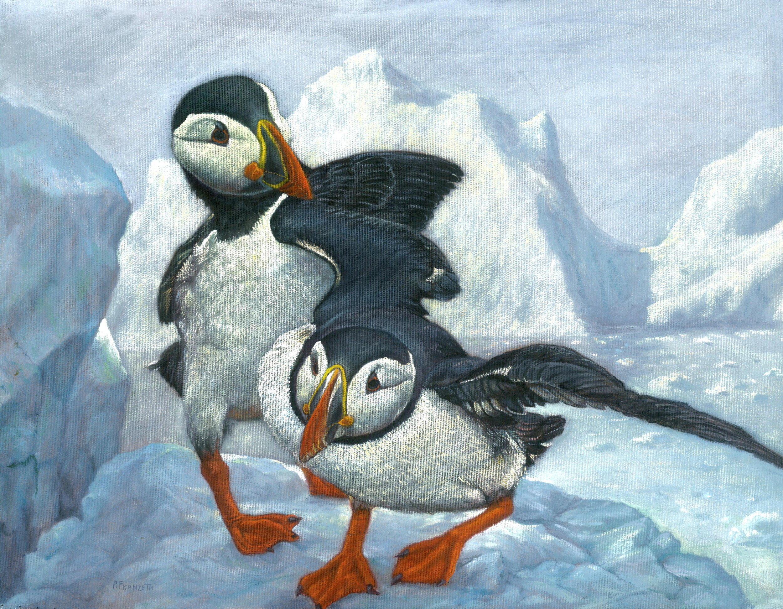 Puffins - Edited.jpg