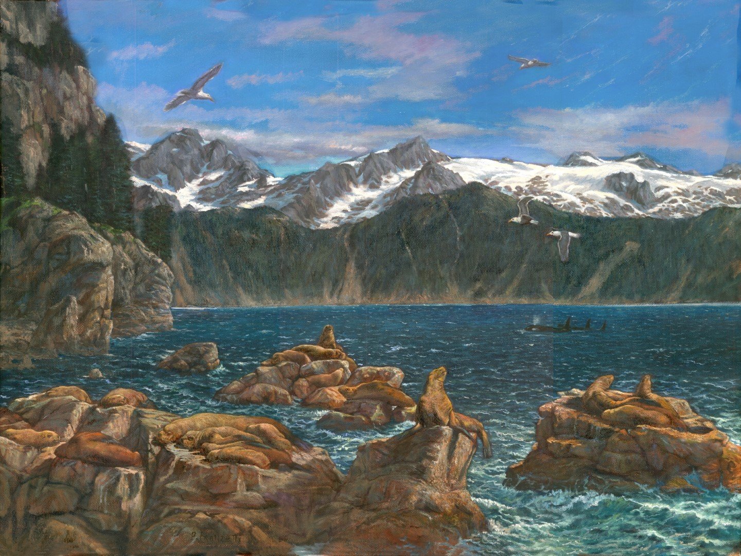 Seals of Kenai Fjords, Alaska (Dad edit) (Large).jpg