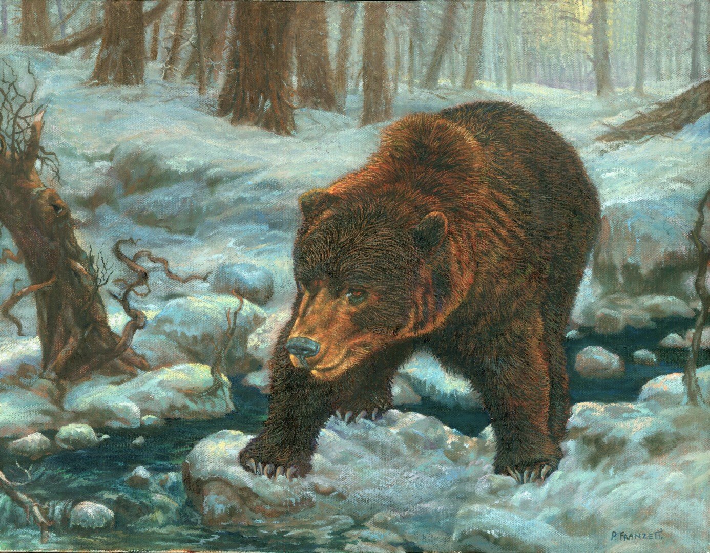 Alaskan Brown Bear (dad edit) (Large).jpg