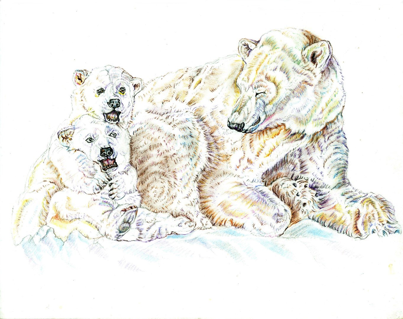 Polar Bear w Cubs(Large).jpg