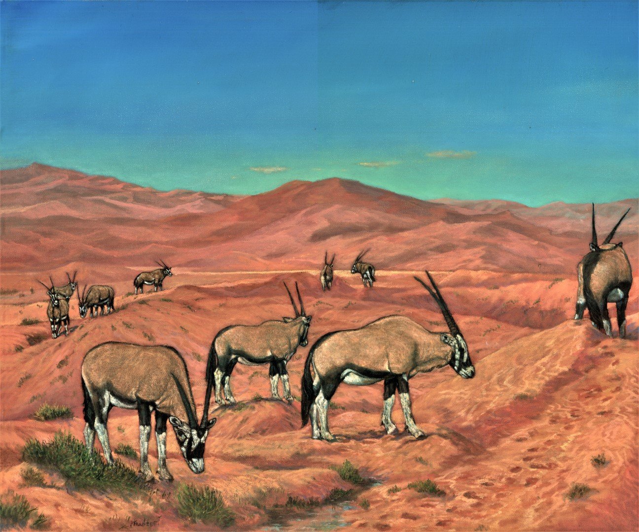 Namibian desert revised (2)(Large).jpg
