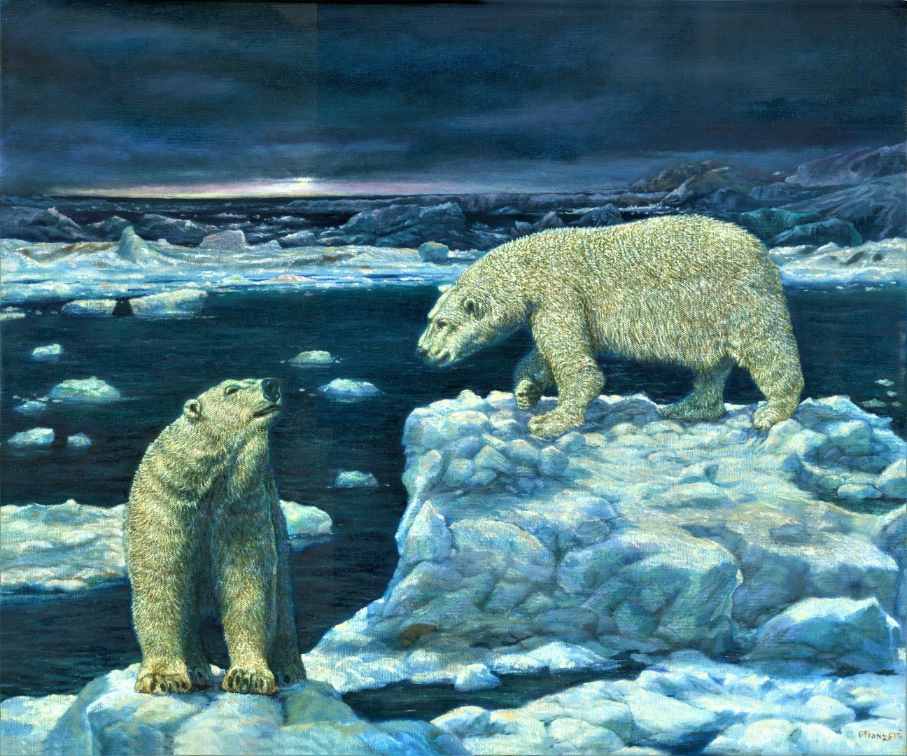 Polar Bears, Arctic Evening(Large).jpg