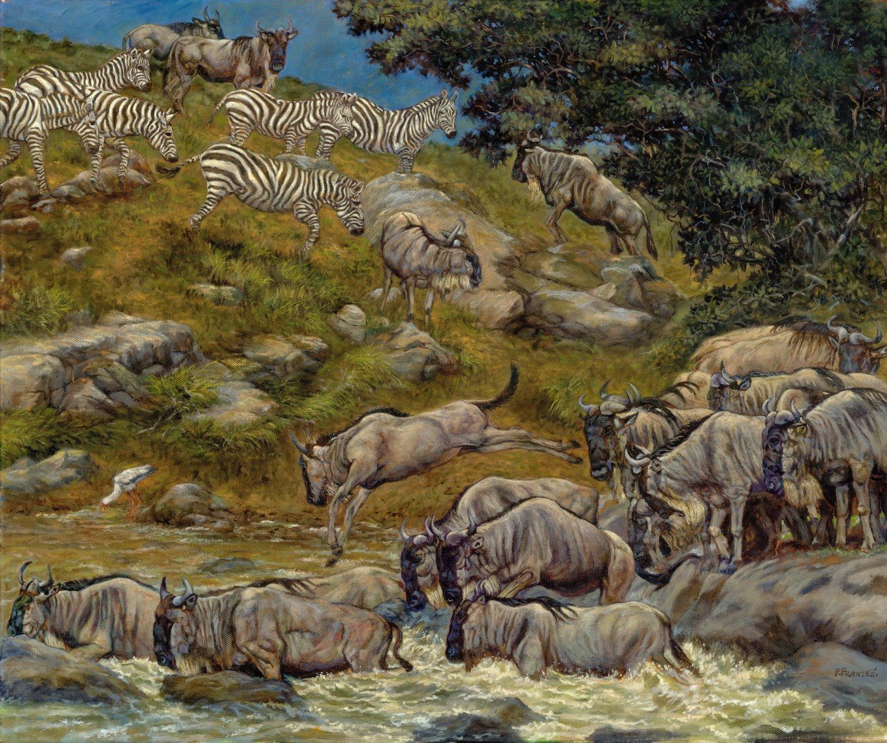 12 The Great Migration, Mara River Tanzania(Large).jpg