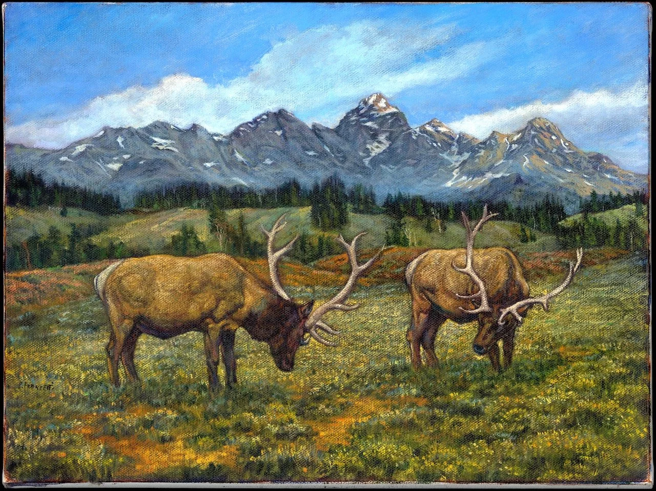 Elk in the Grand Tetons, WY - FEB - EDITED.jpg