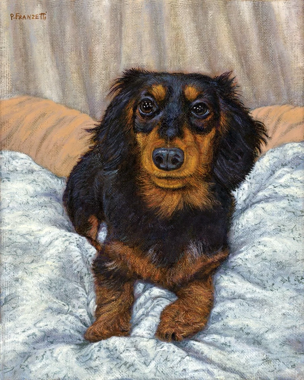 Daisy the Dachshund  - APRIL - EDITED.jpg