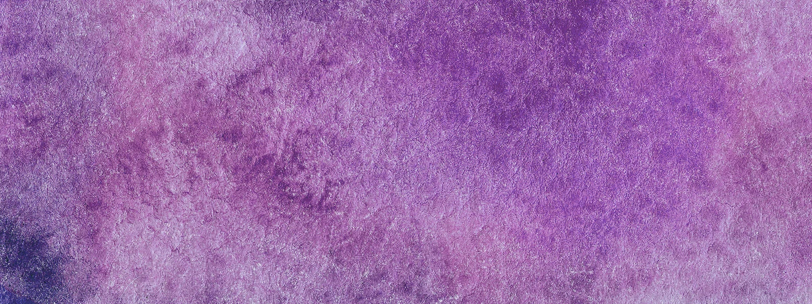 shutterstock_557099341.jpg