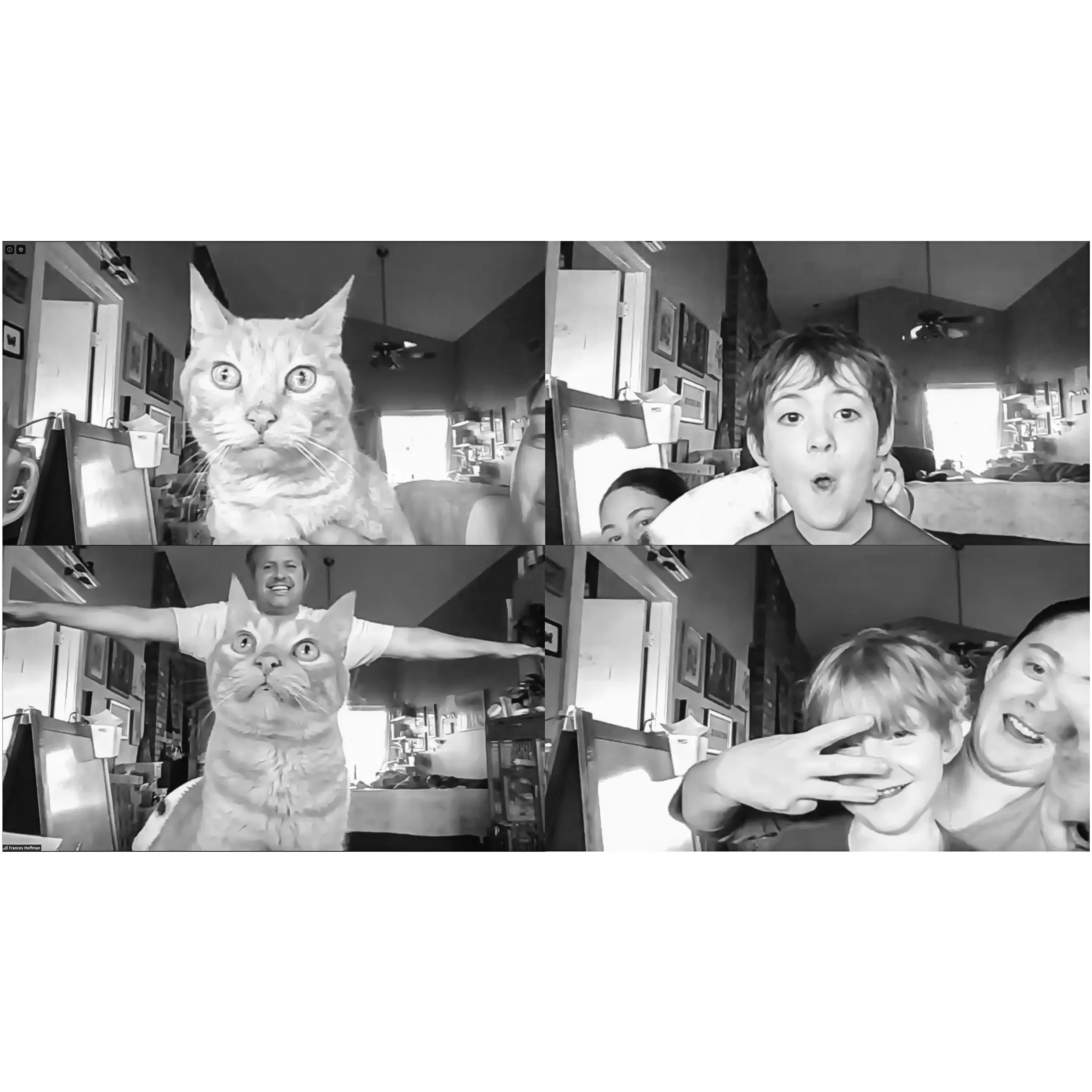 Sherman the cat, Cam, Scott + Everitt w/ Frances, photographed over ZOOM October 2020.
