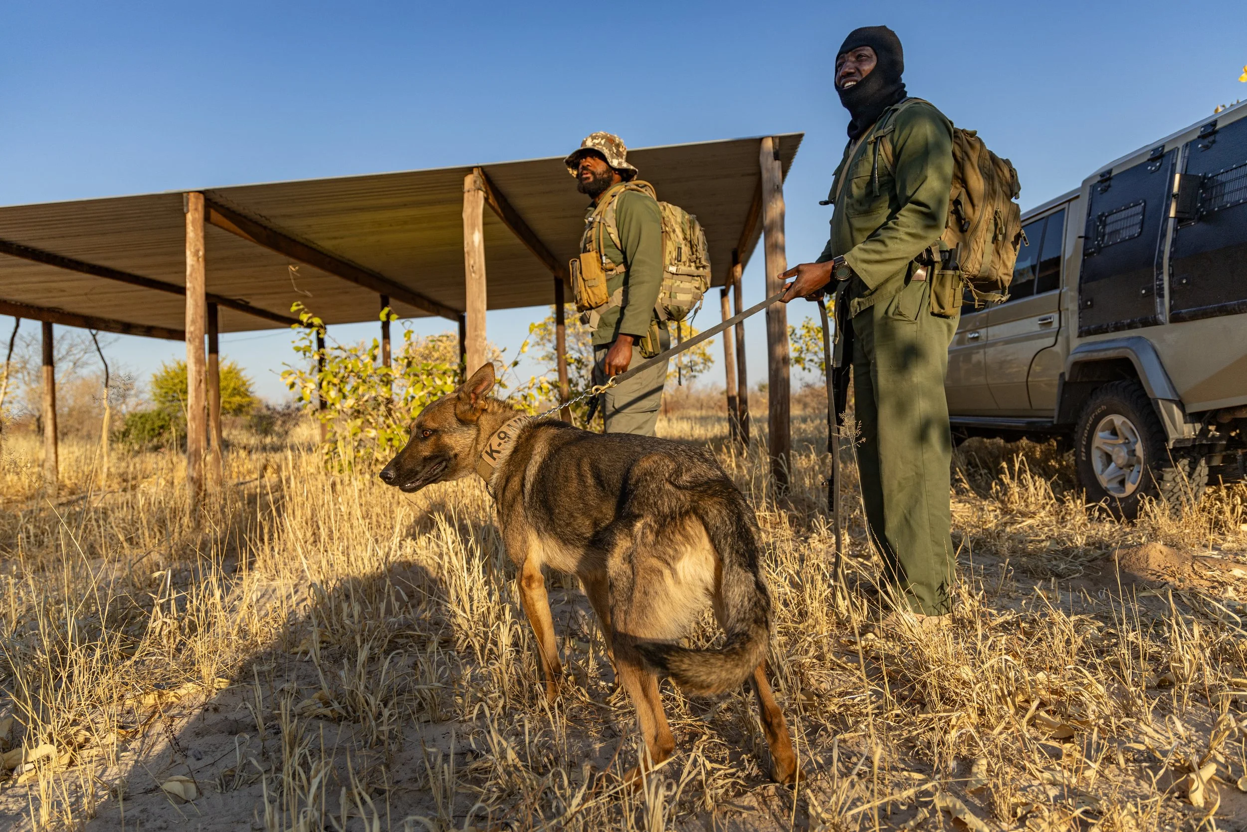 WD4CNAM_June2024_Etosha-128.jpg