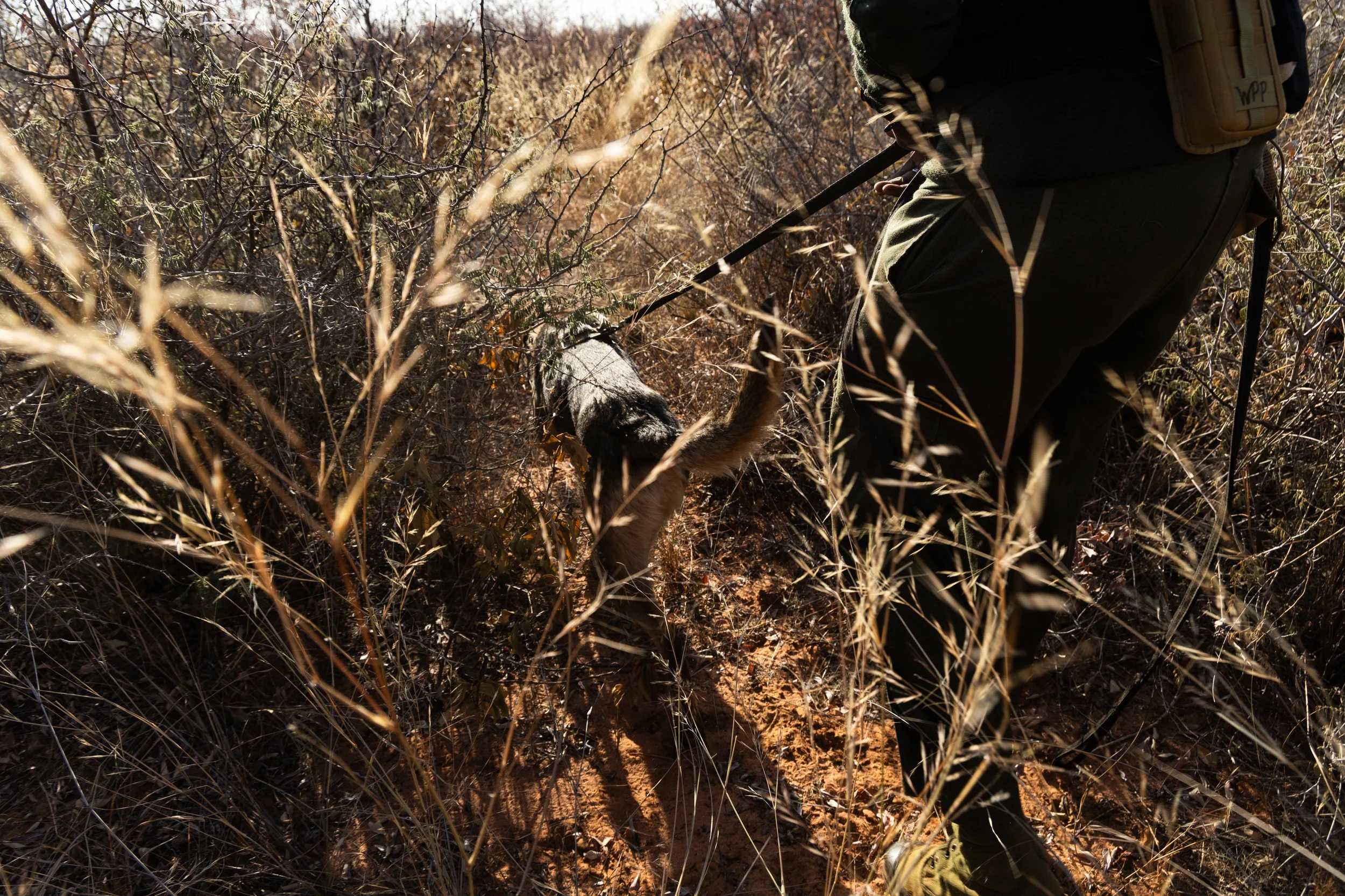 WD4CNAM_June2024_Waterberg-17.jpg