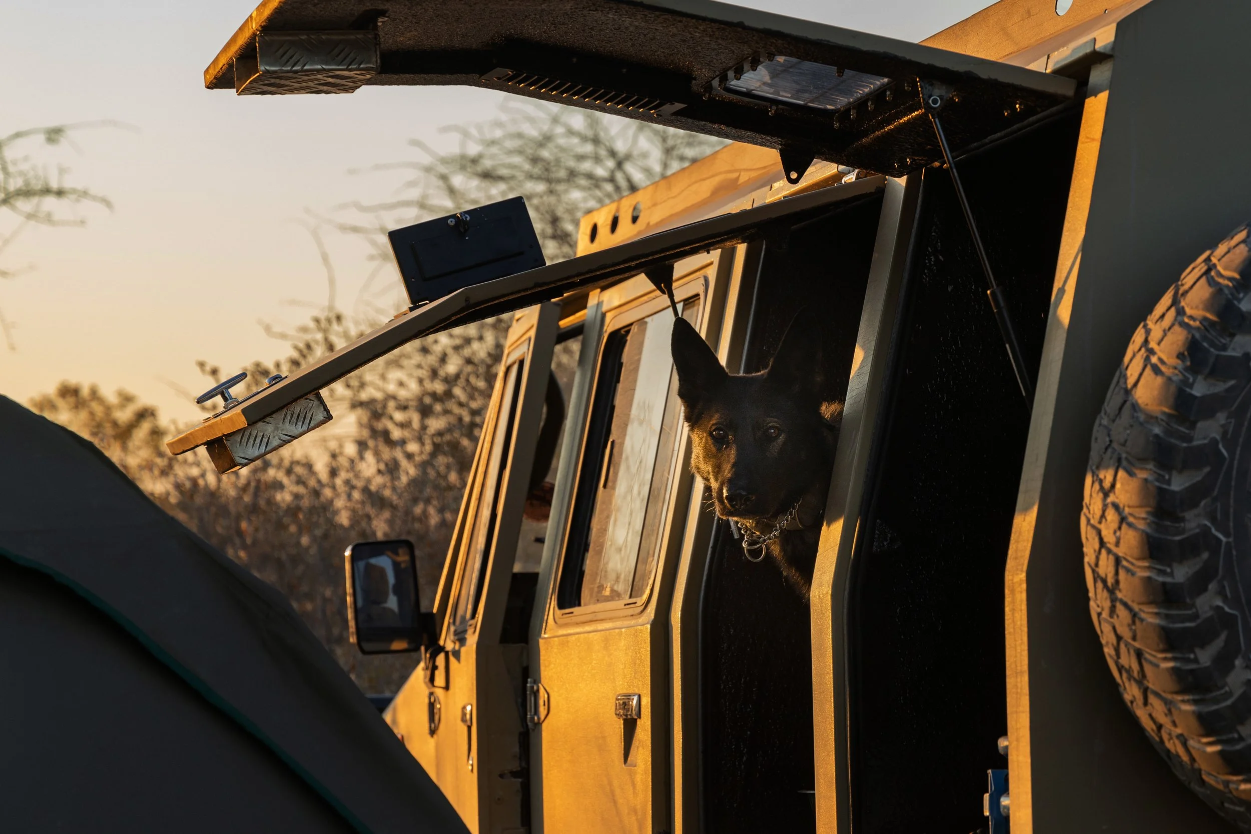 WD4CNAM_June2024_Etosha-50rev.jpg