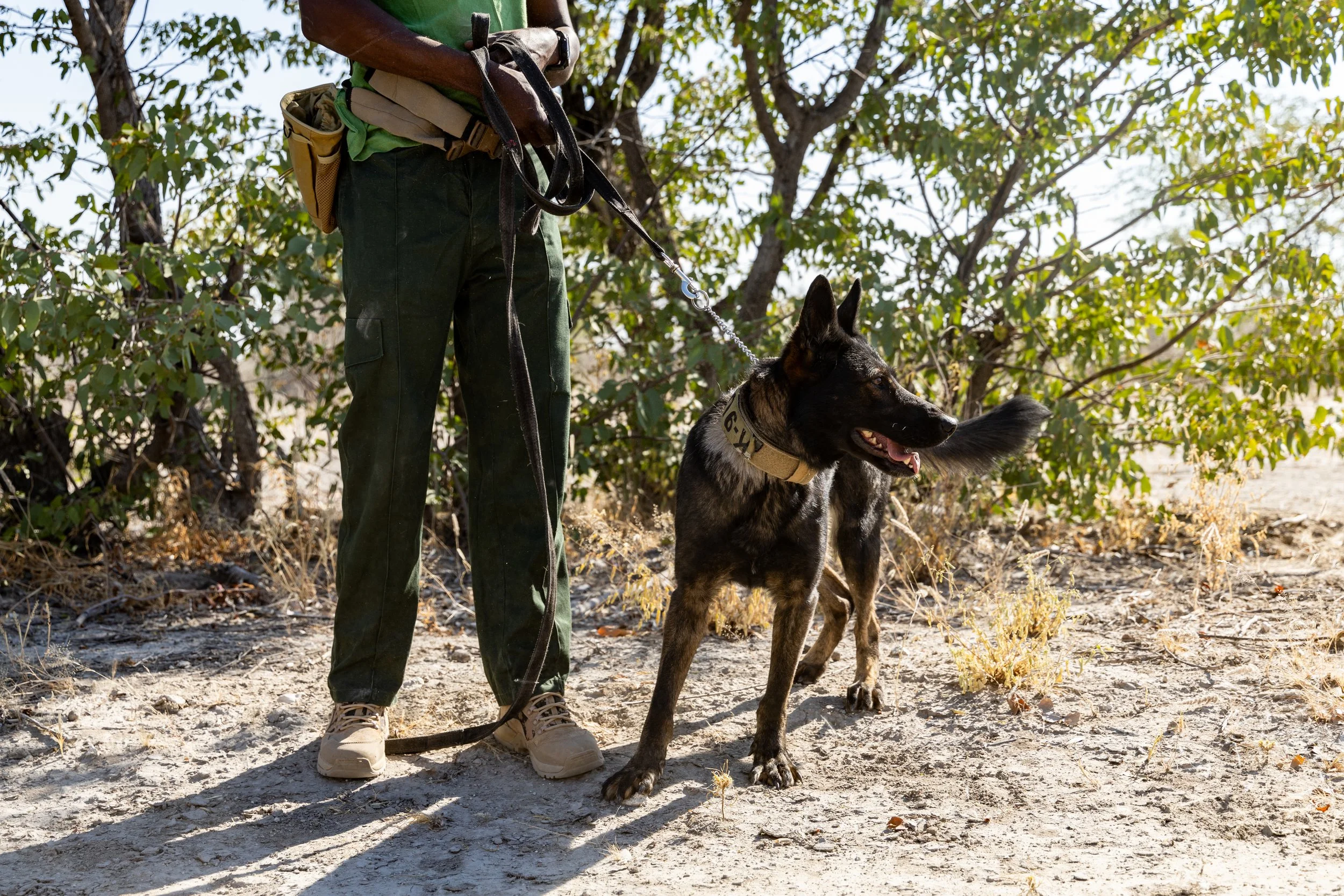WD4CNAM_June2024_Etosha-18.jpg