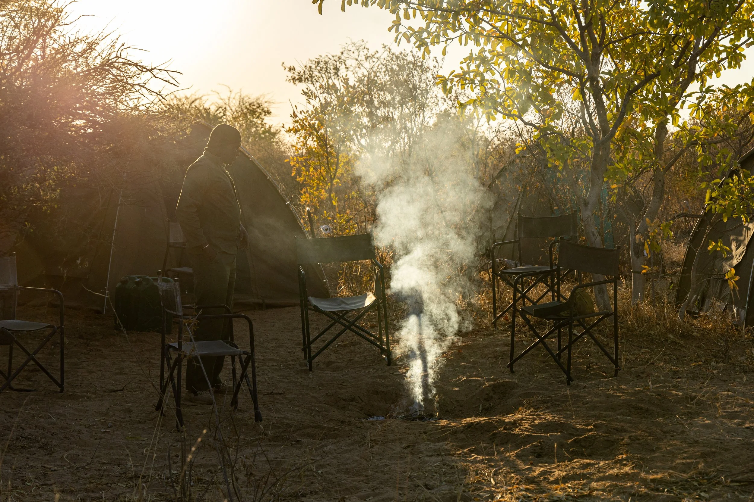 WD4CNAM_June2024_Etosha-60.jpg