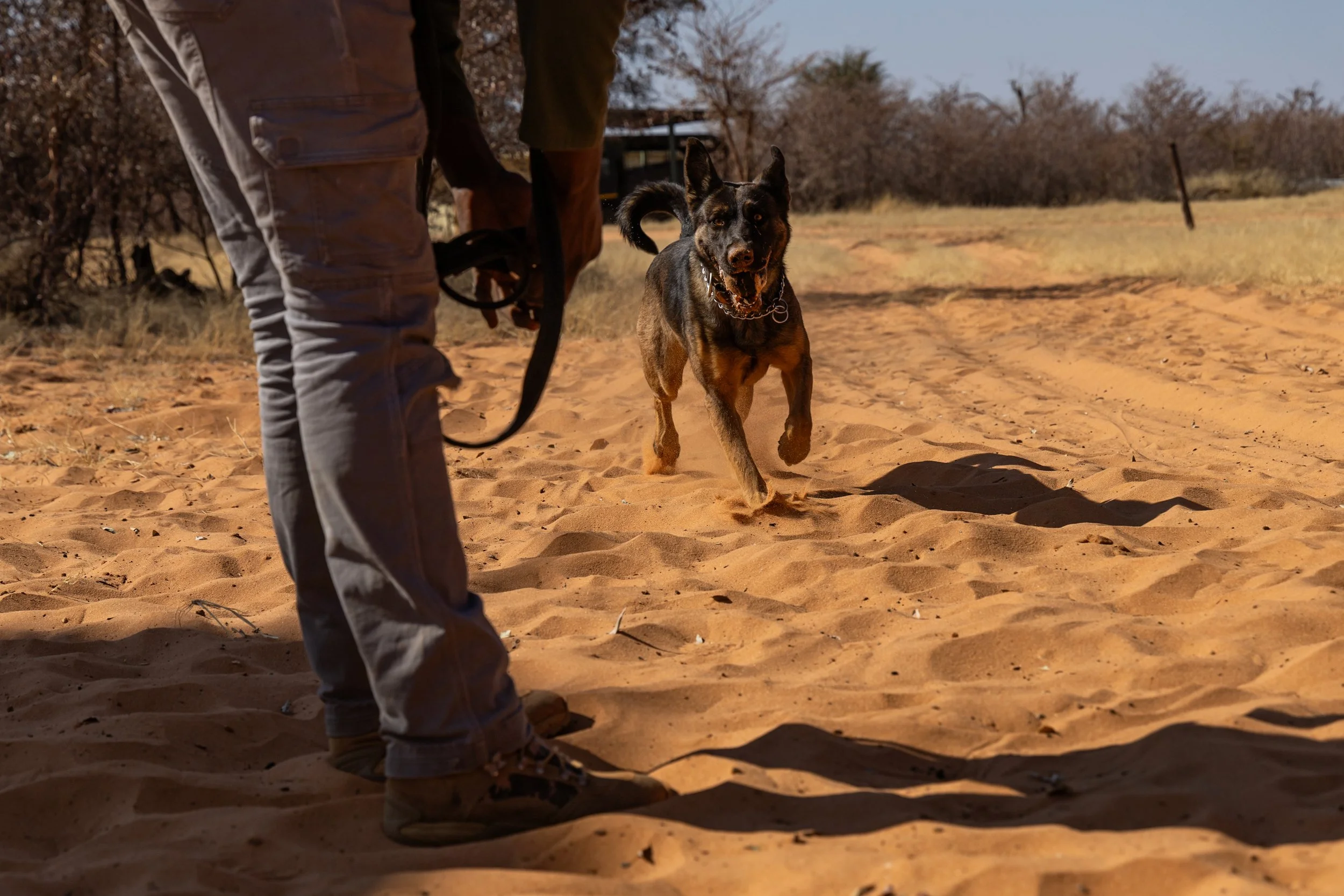WD4CNAM_June2024_Waterberg-35.jpg
