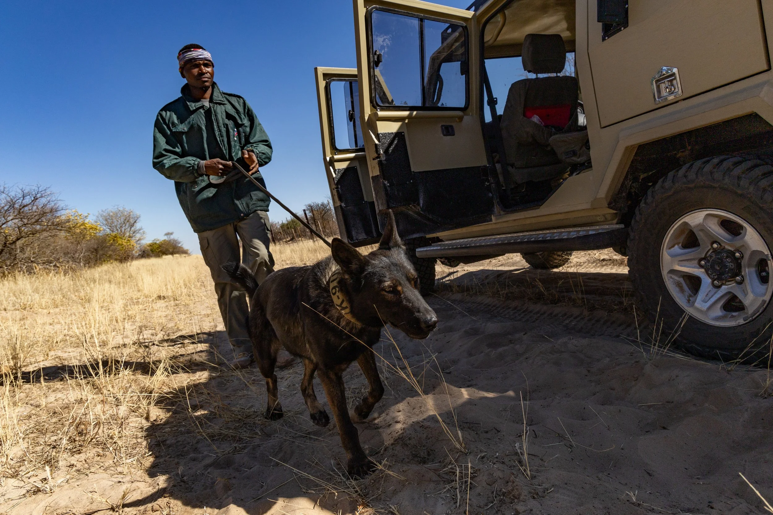 WD4CNAM_June2024_Etosha-190.jpg