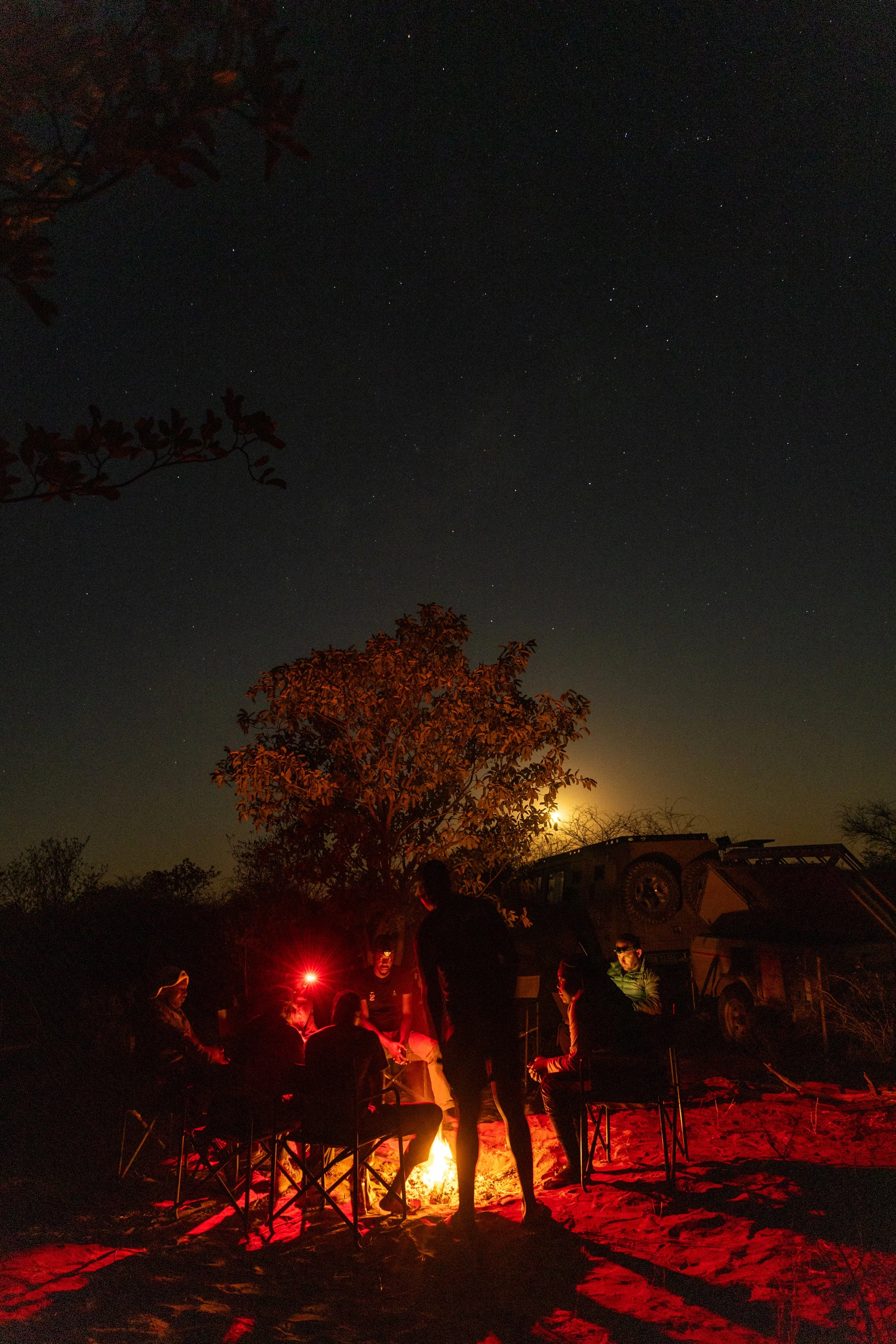 WD4CNAM_June2024_Etosha-104.jpg