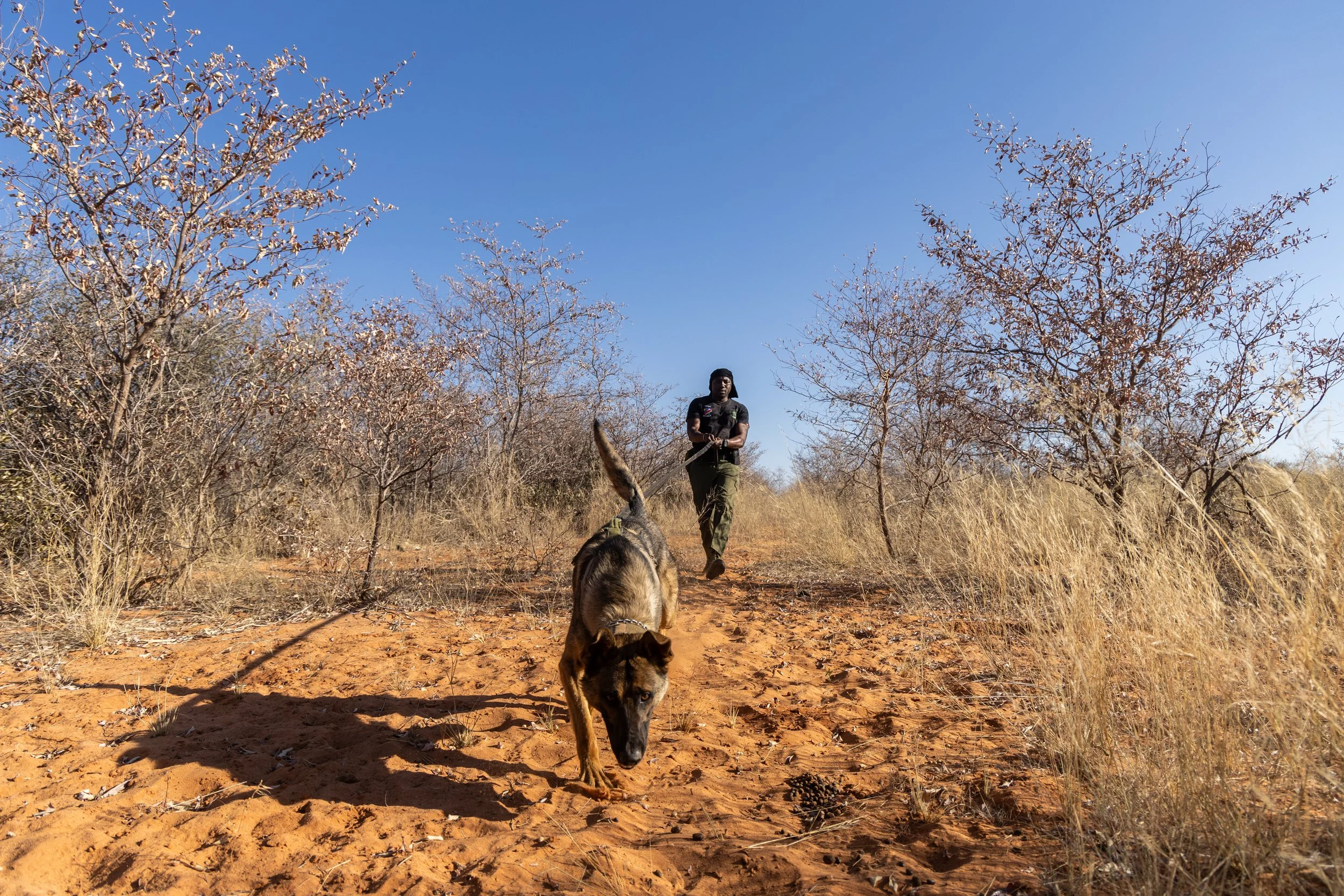WD4CNAM_June2024_Waterberg-76.jpg