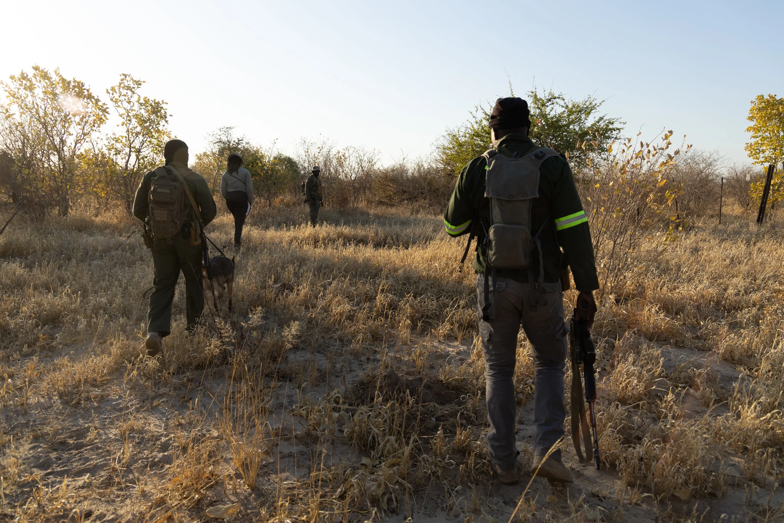 WD4CNAM_June2024_Etosha-131.jpg