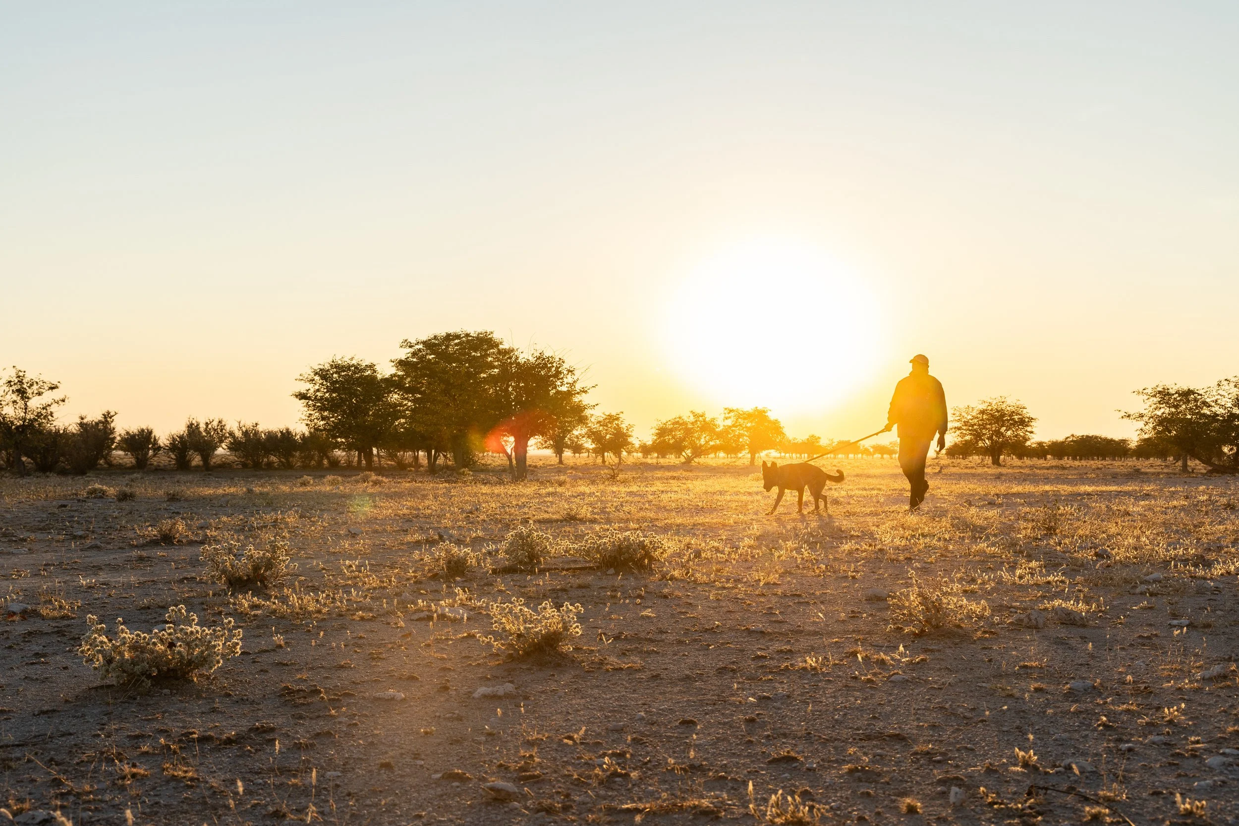 WD4CNAM_June2024_Etosha-3.jpg