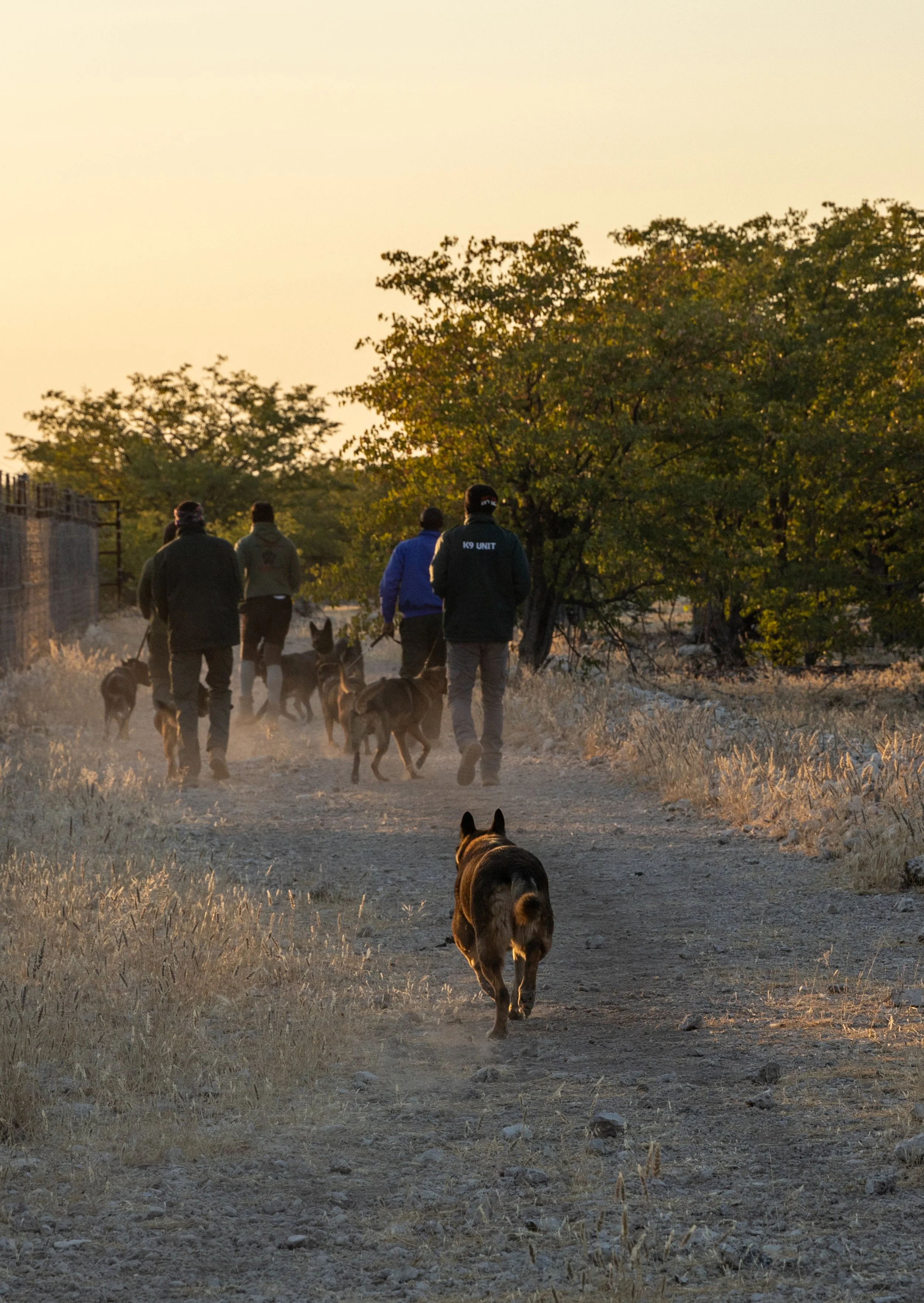 WD4CNAM_June2024_Etosha-5.jpg