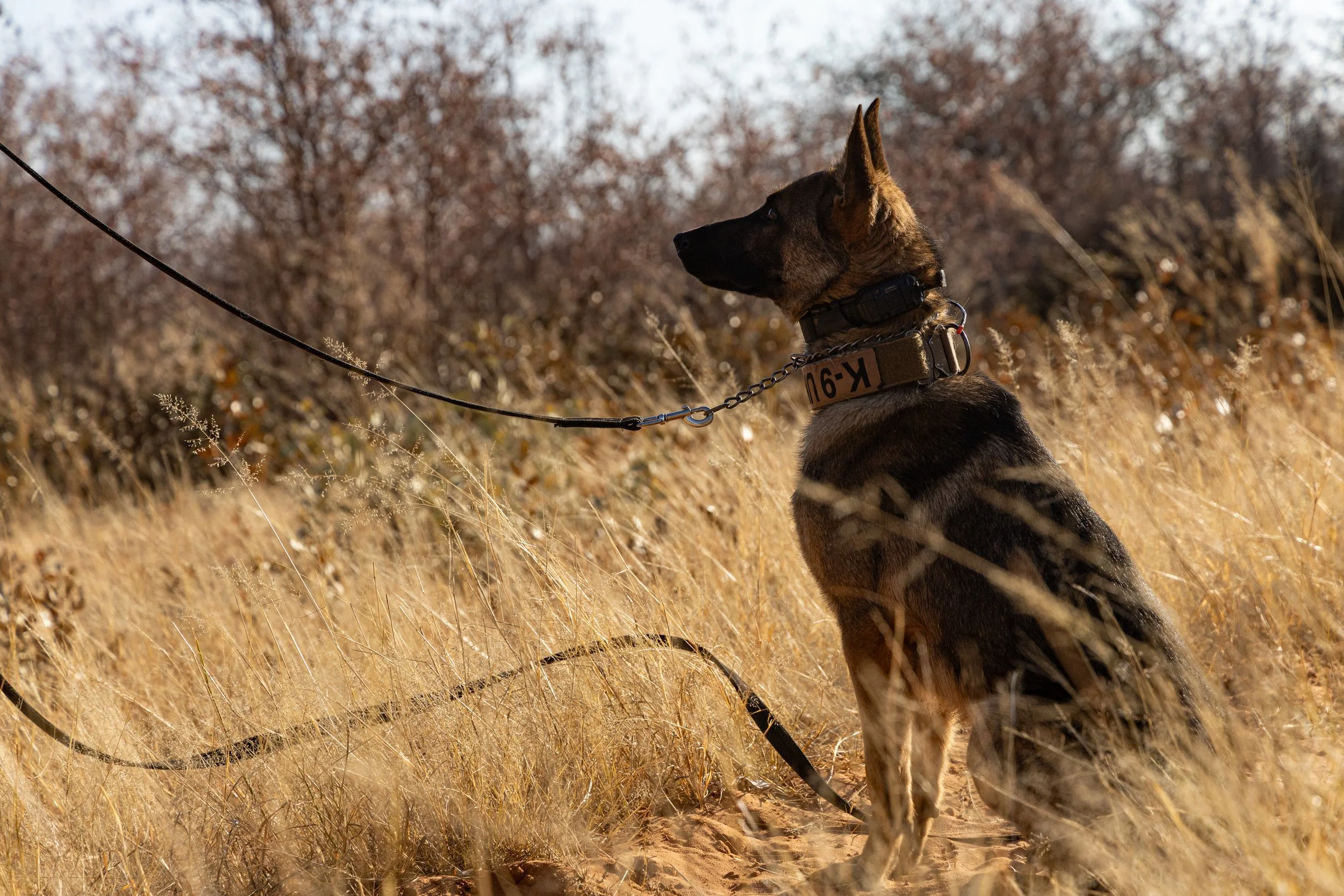 WD4CNAM_June2024_Waterberg-14.jpg