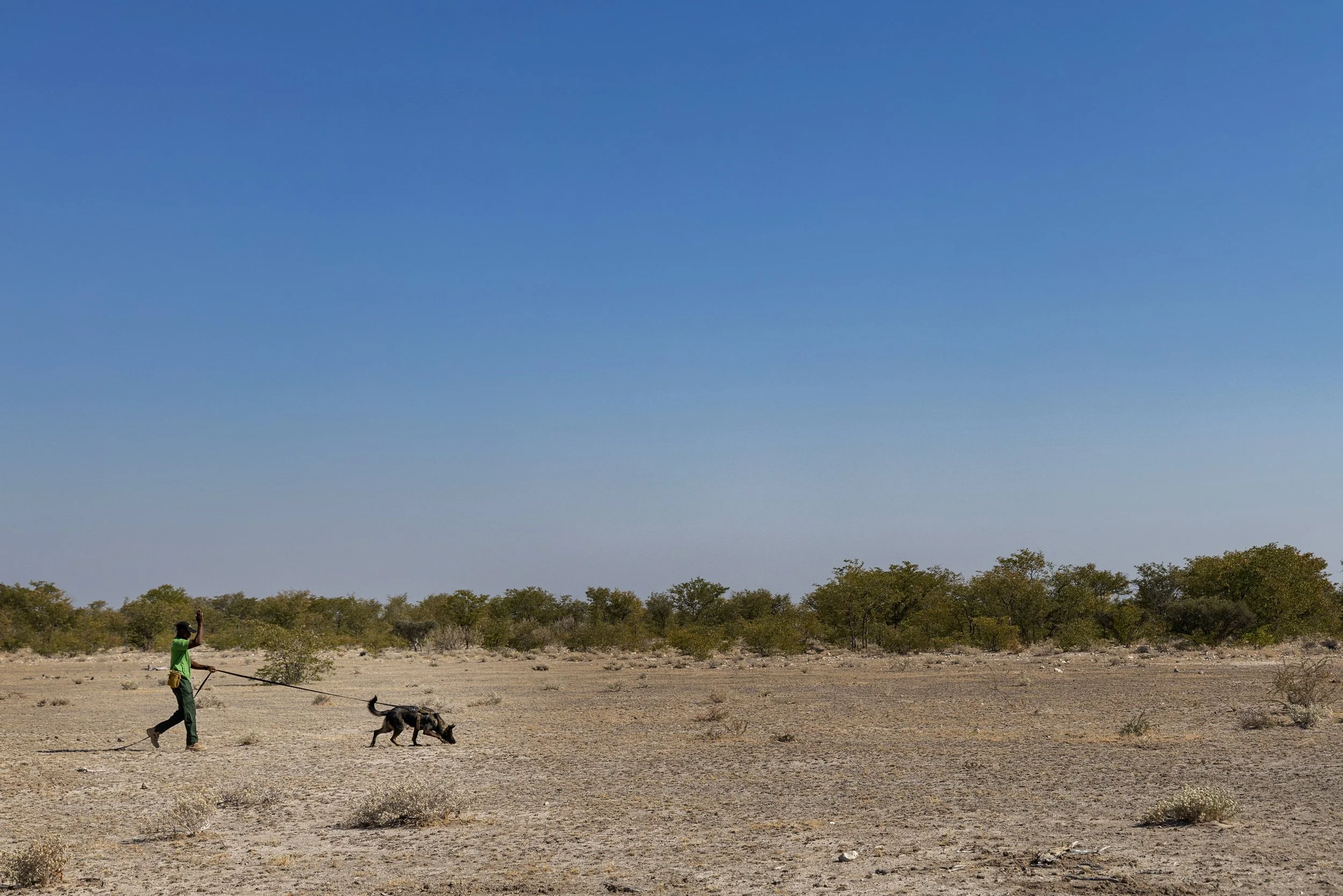 WD4CNAM_June2024_Etosha-23.jpg