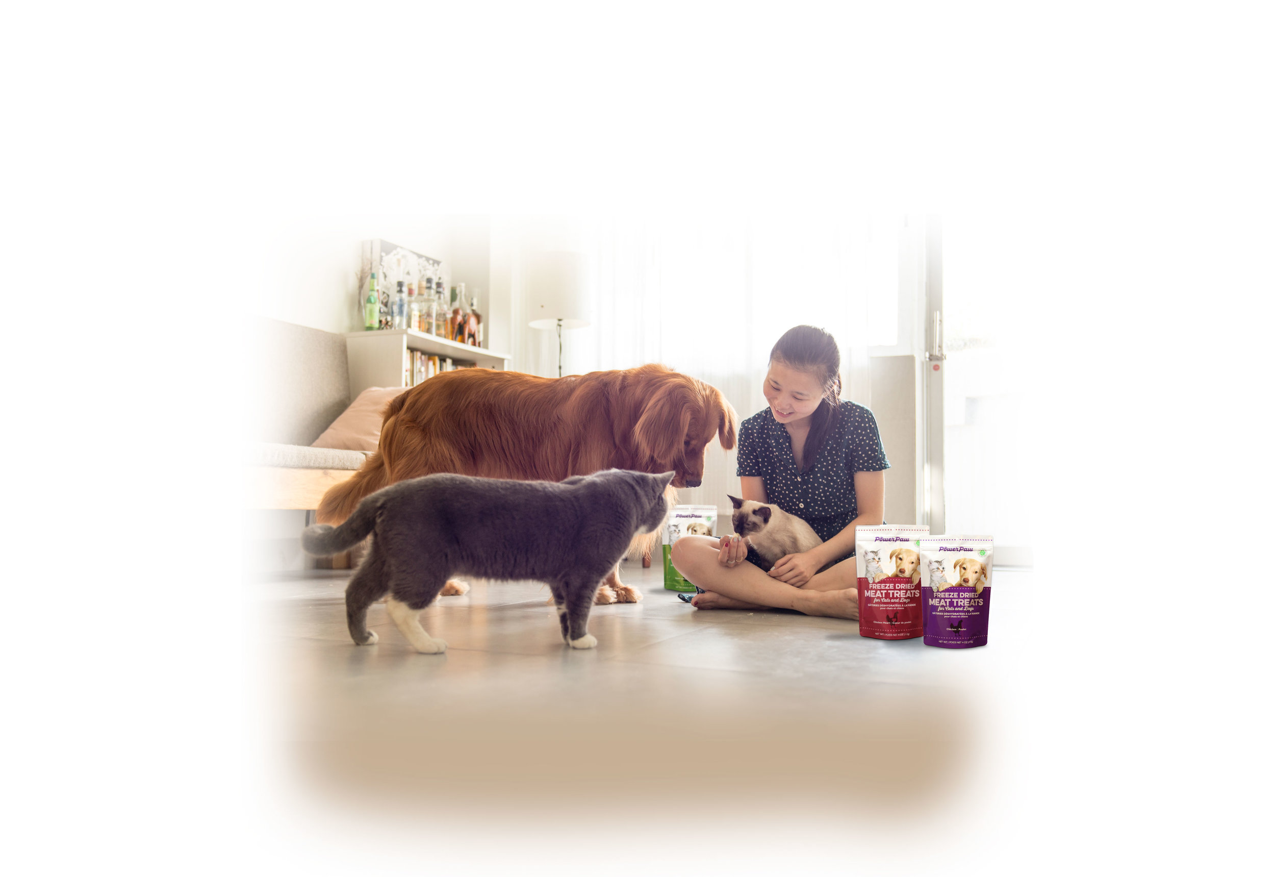 PowerPaw-HOME-2.jpg